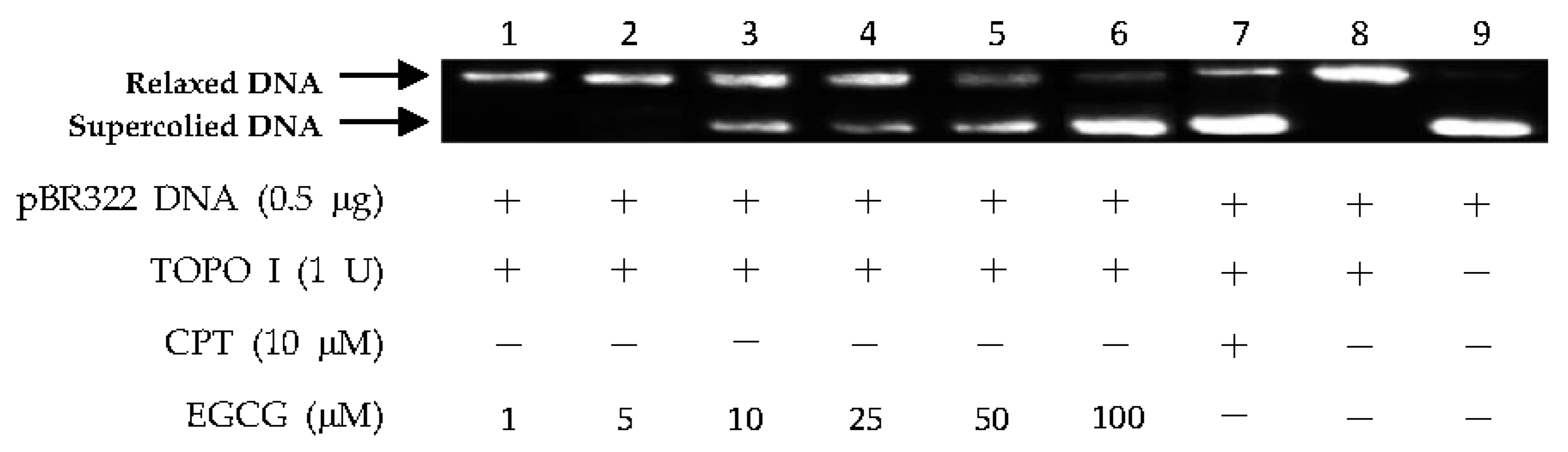 Marinedrugs 15 00217 g006