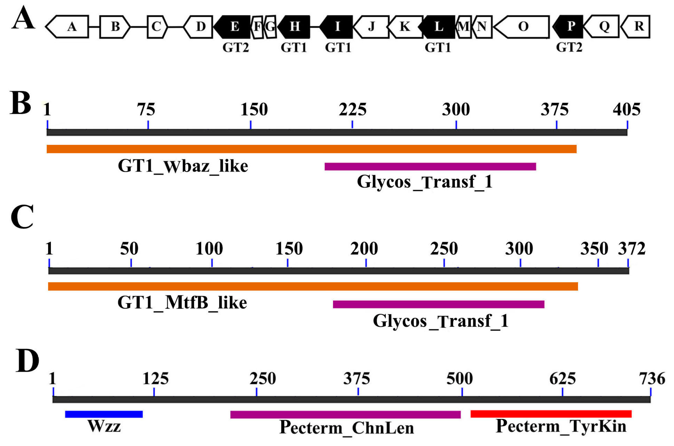 Marinedrugs 15 00218 g002