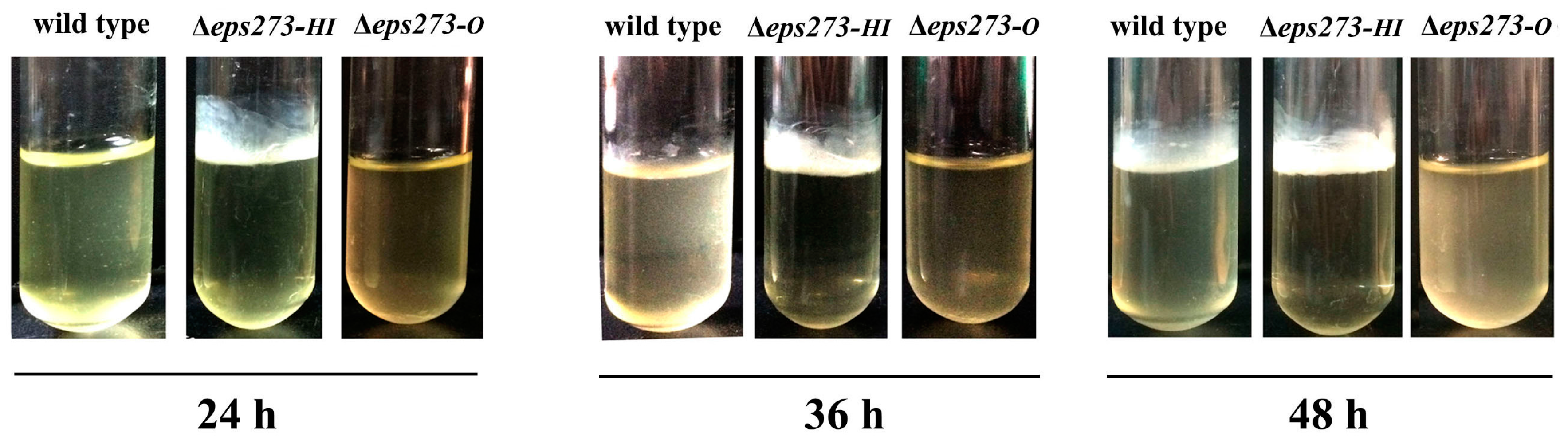 Marinedrugs 15 00218 g005