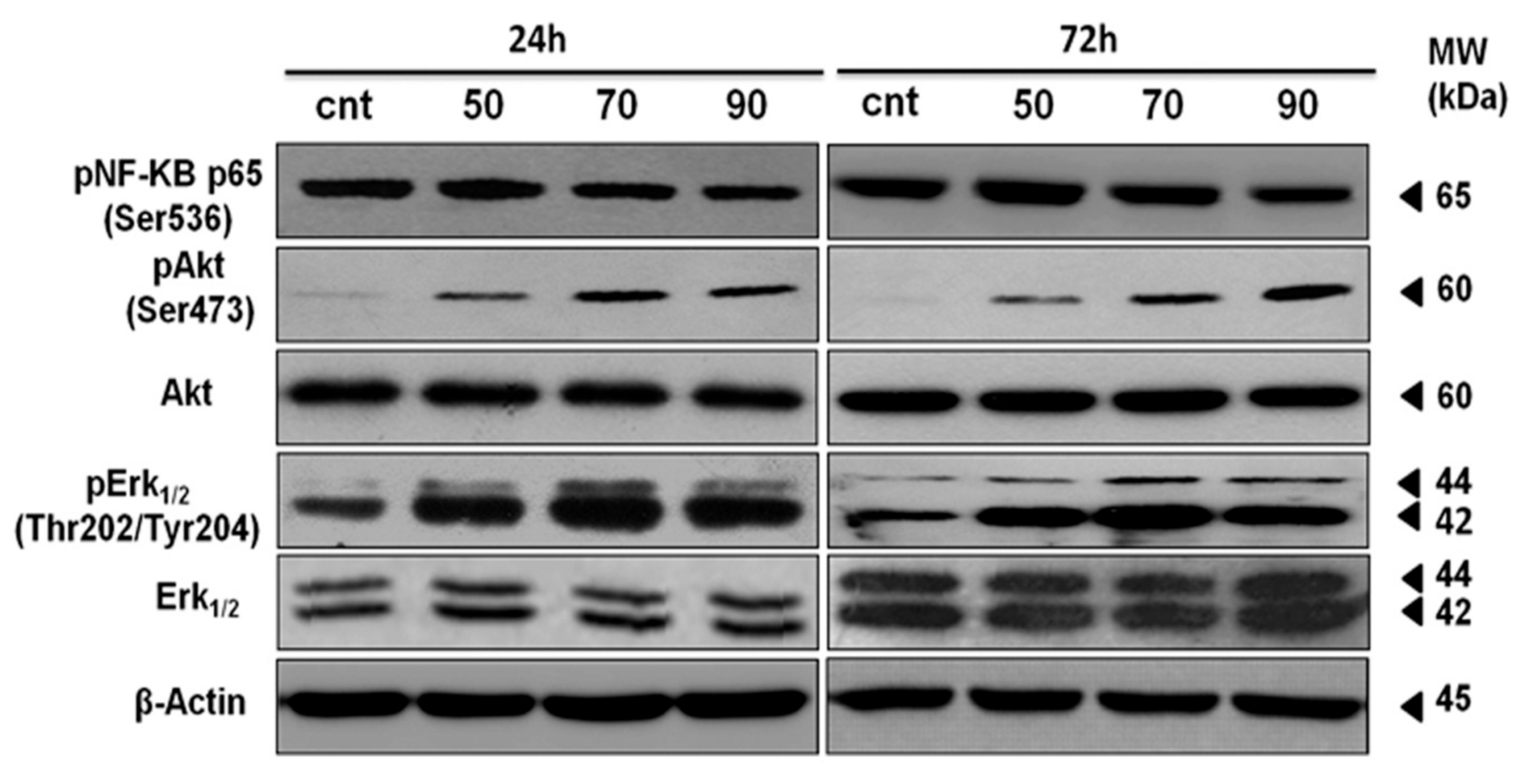 Marinedrugs 15 00221 g005 Marinedrugs 15 00221 g005