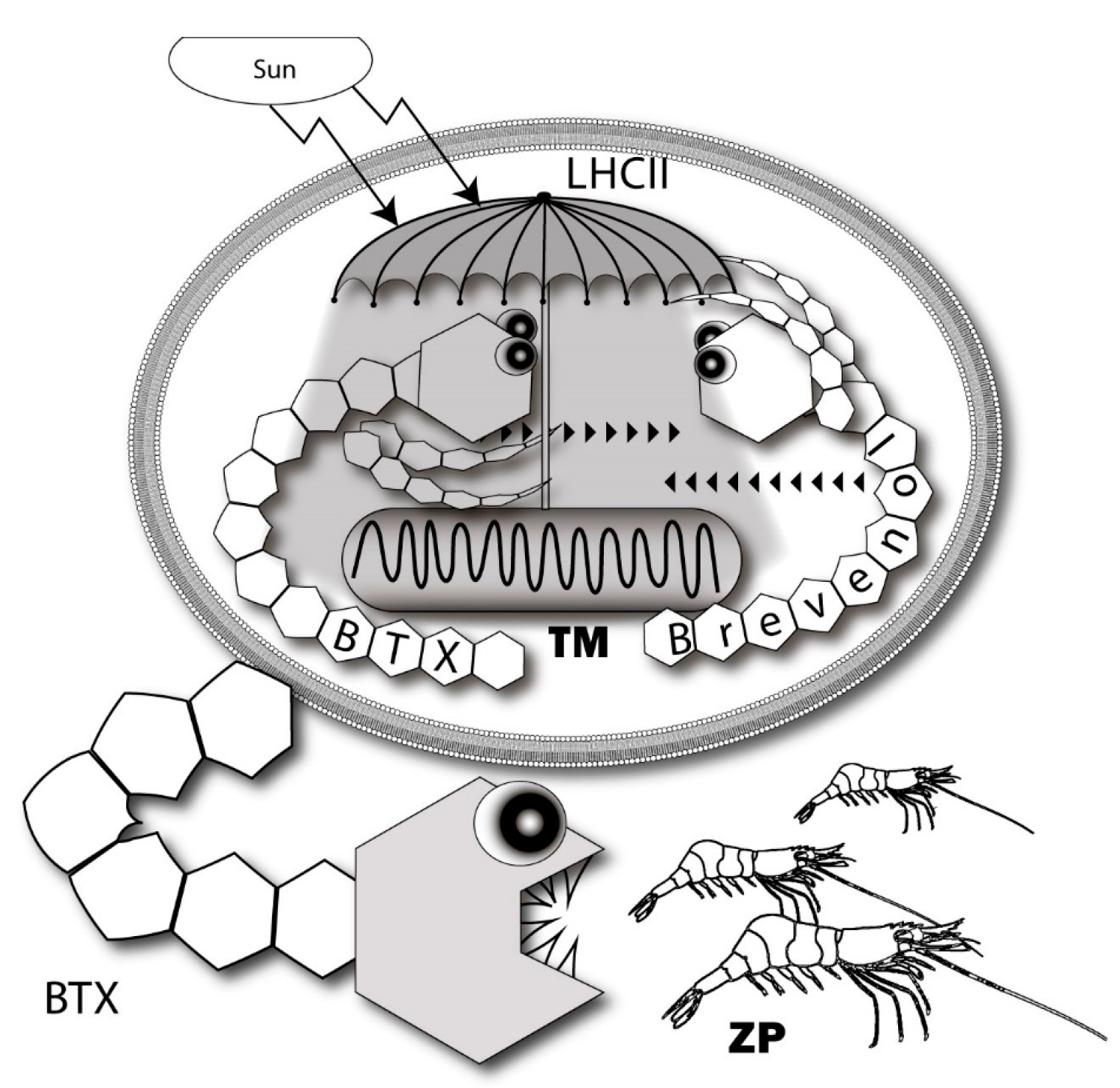 Marinedrugs 15 00232 g009