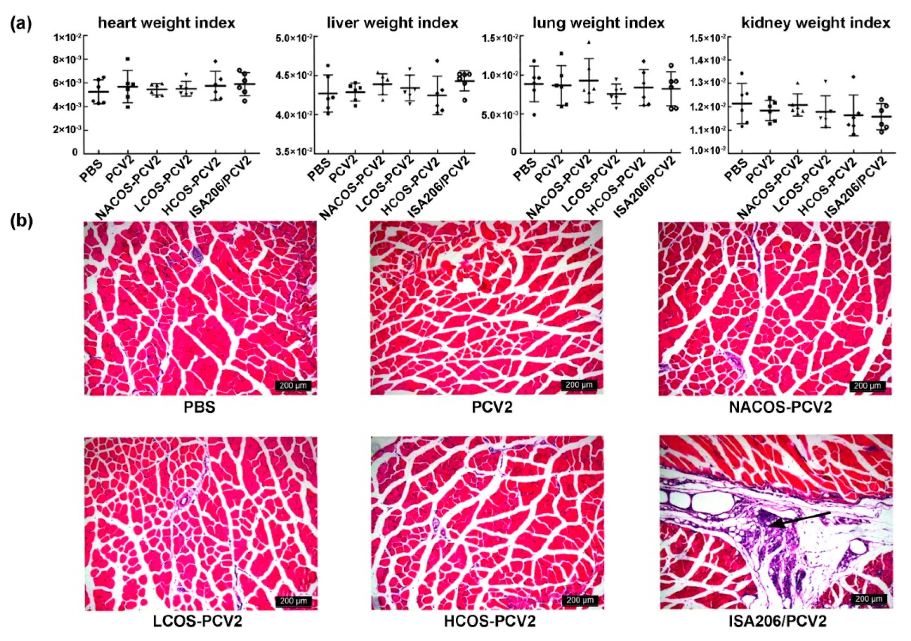Marinedrugs 15 00236 g006 550