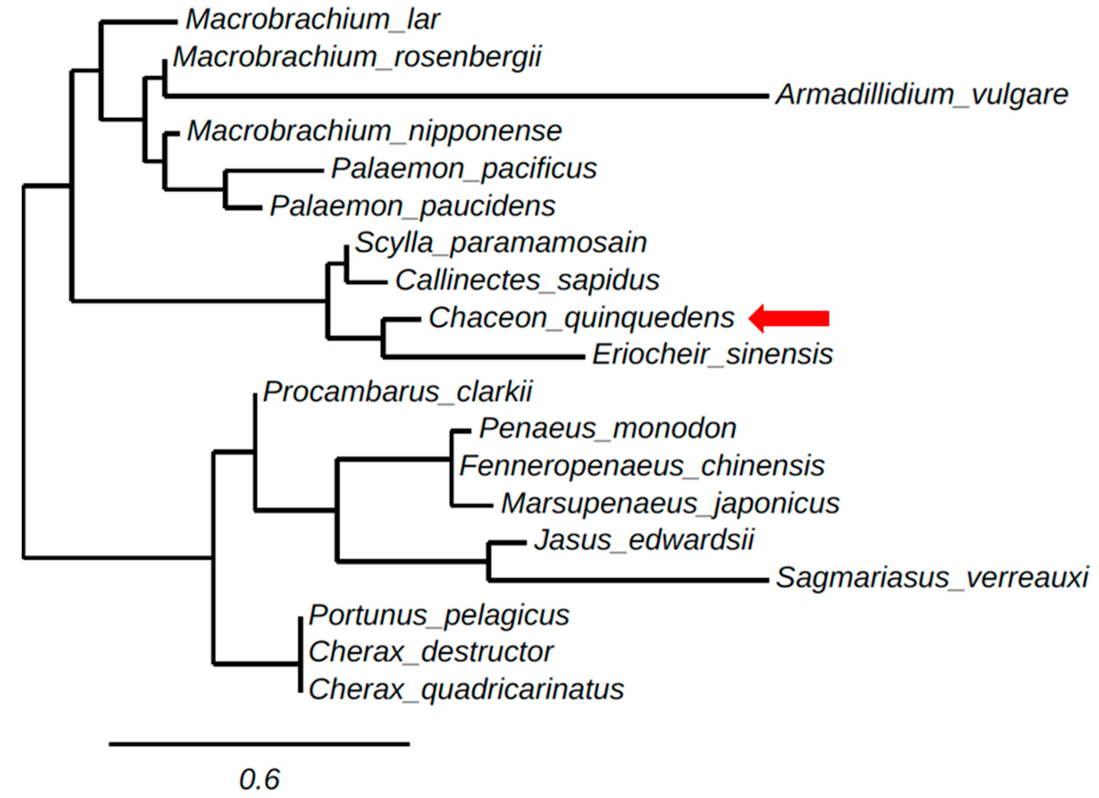 Marinedrugs 15 00241 g002 550