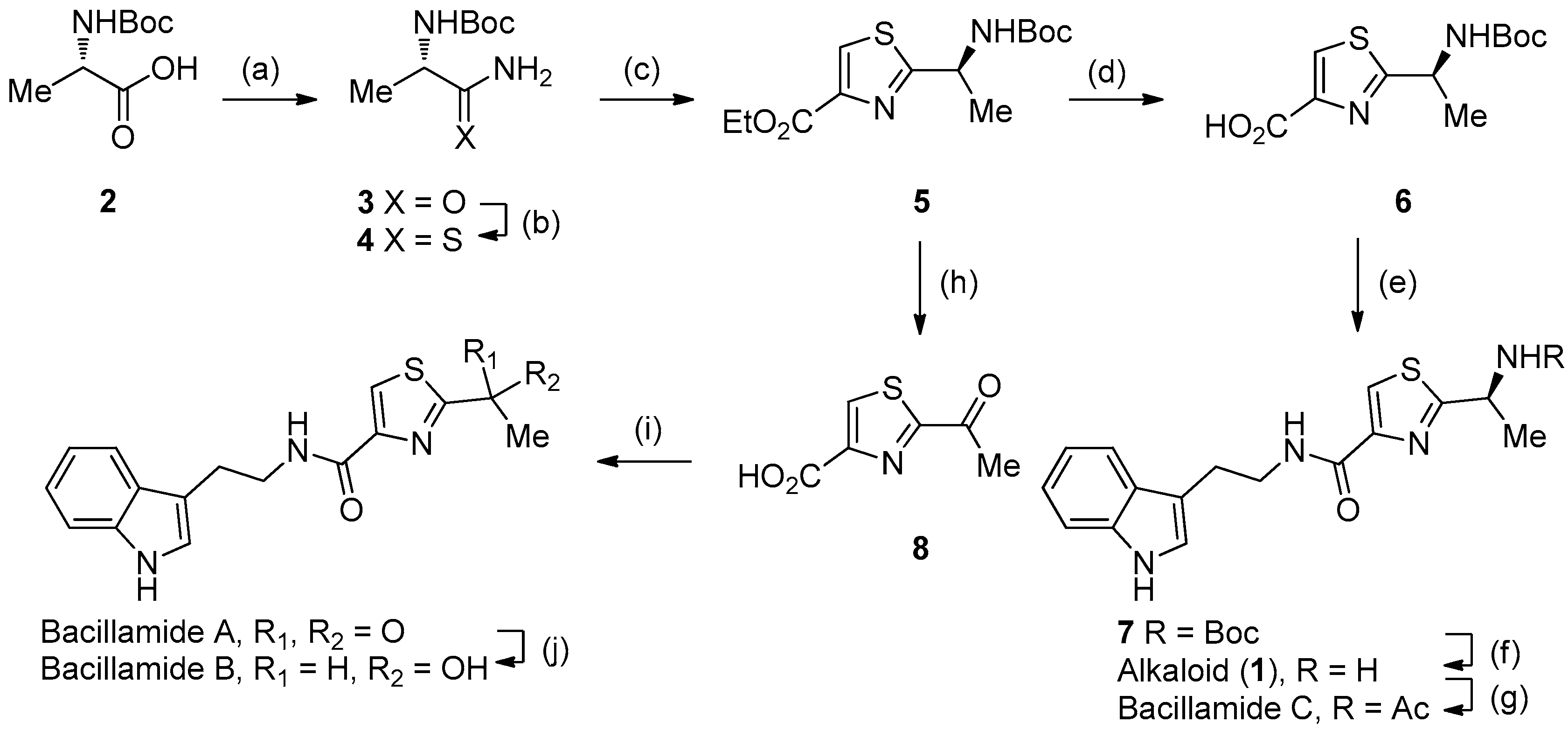 Marinedrugs 15 00247 sch001