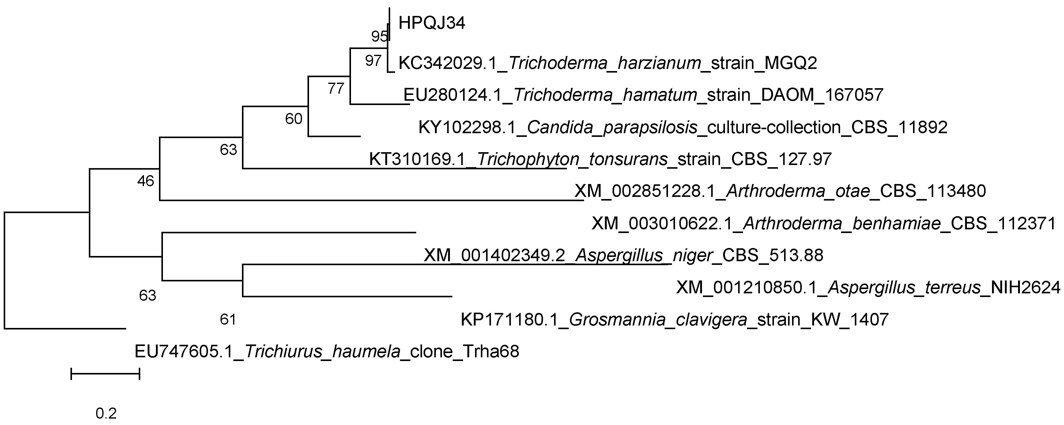Marinedrugs 15 00260 g002 Marinedrugs 15 00260 g002
