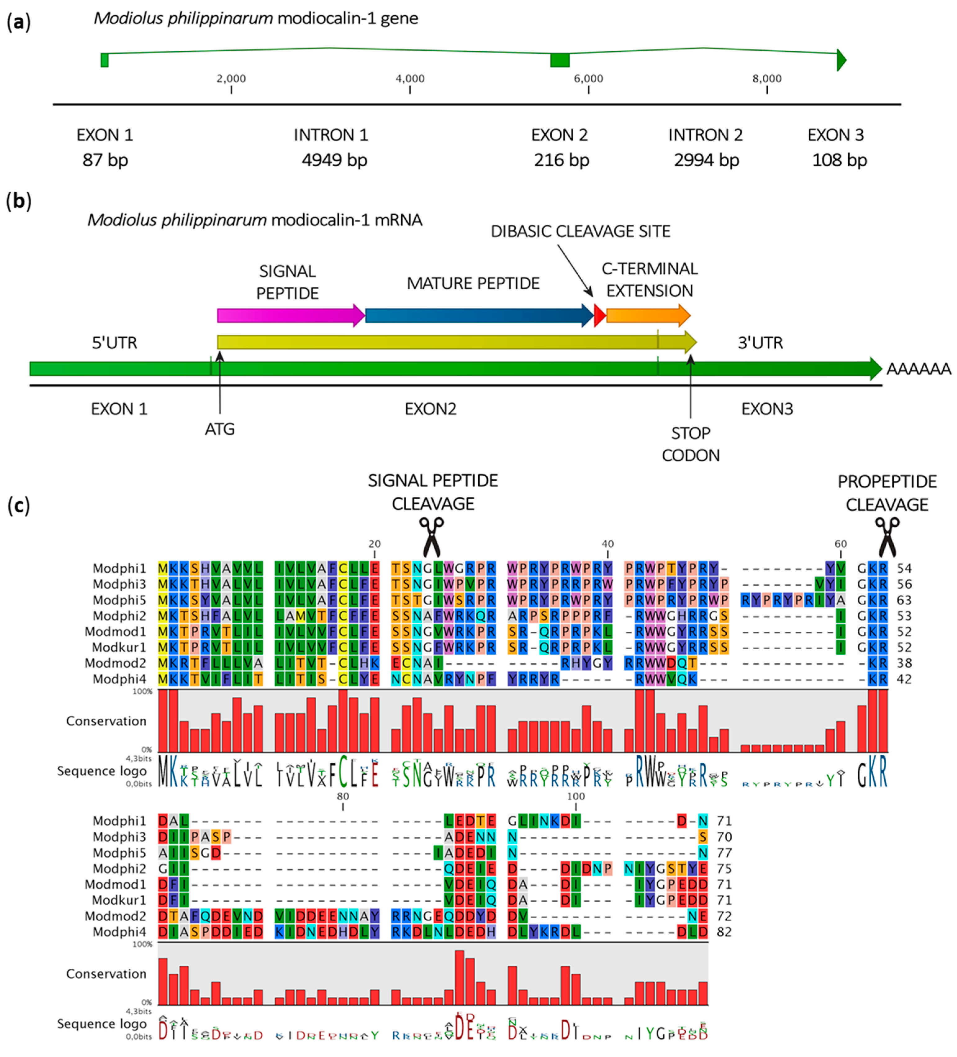 Marinedrugs 15 00261 g005 Marinedrugs 15 00261 g005