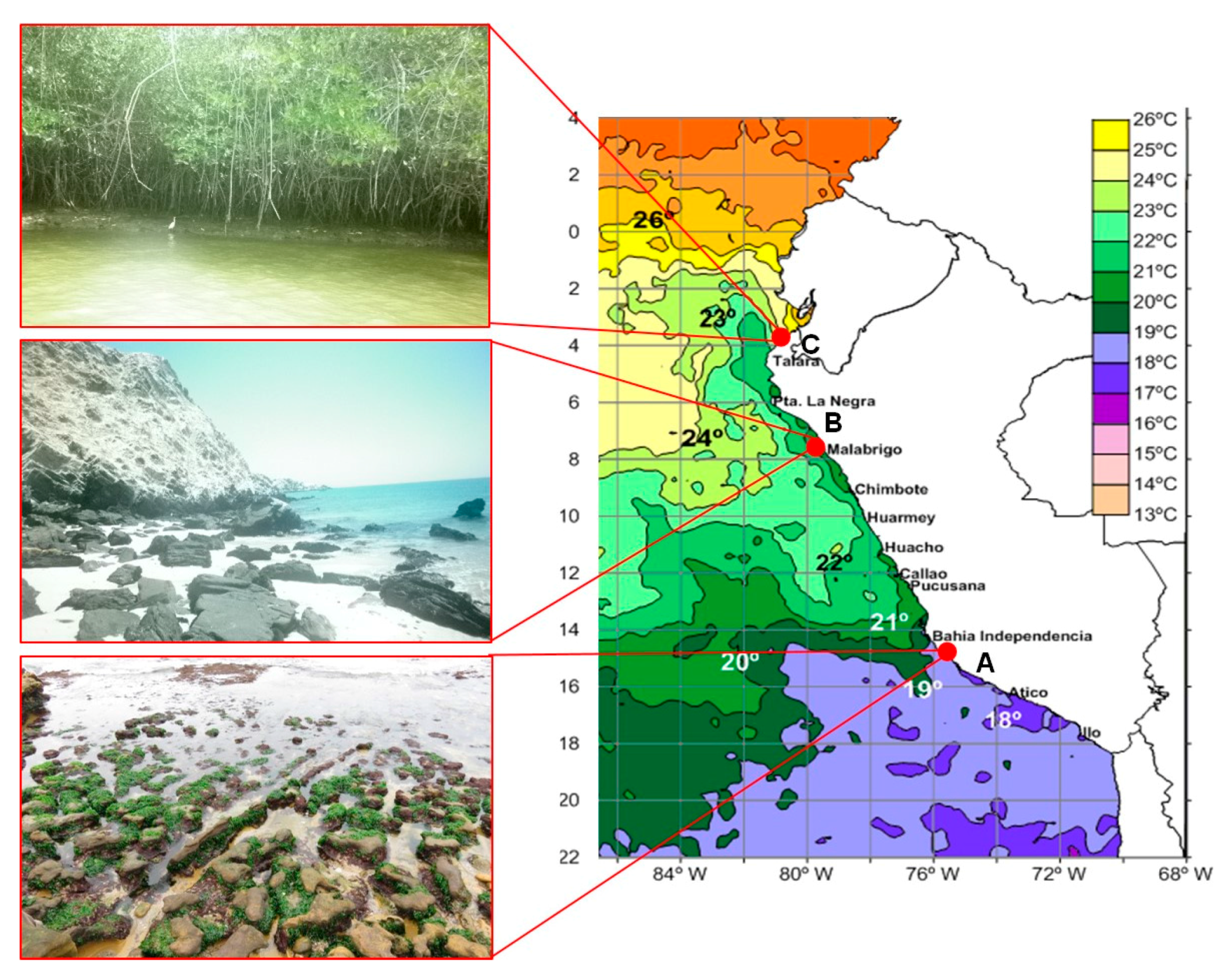 Marinedrugs 15 00308 g001 550