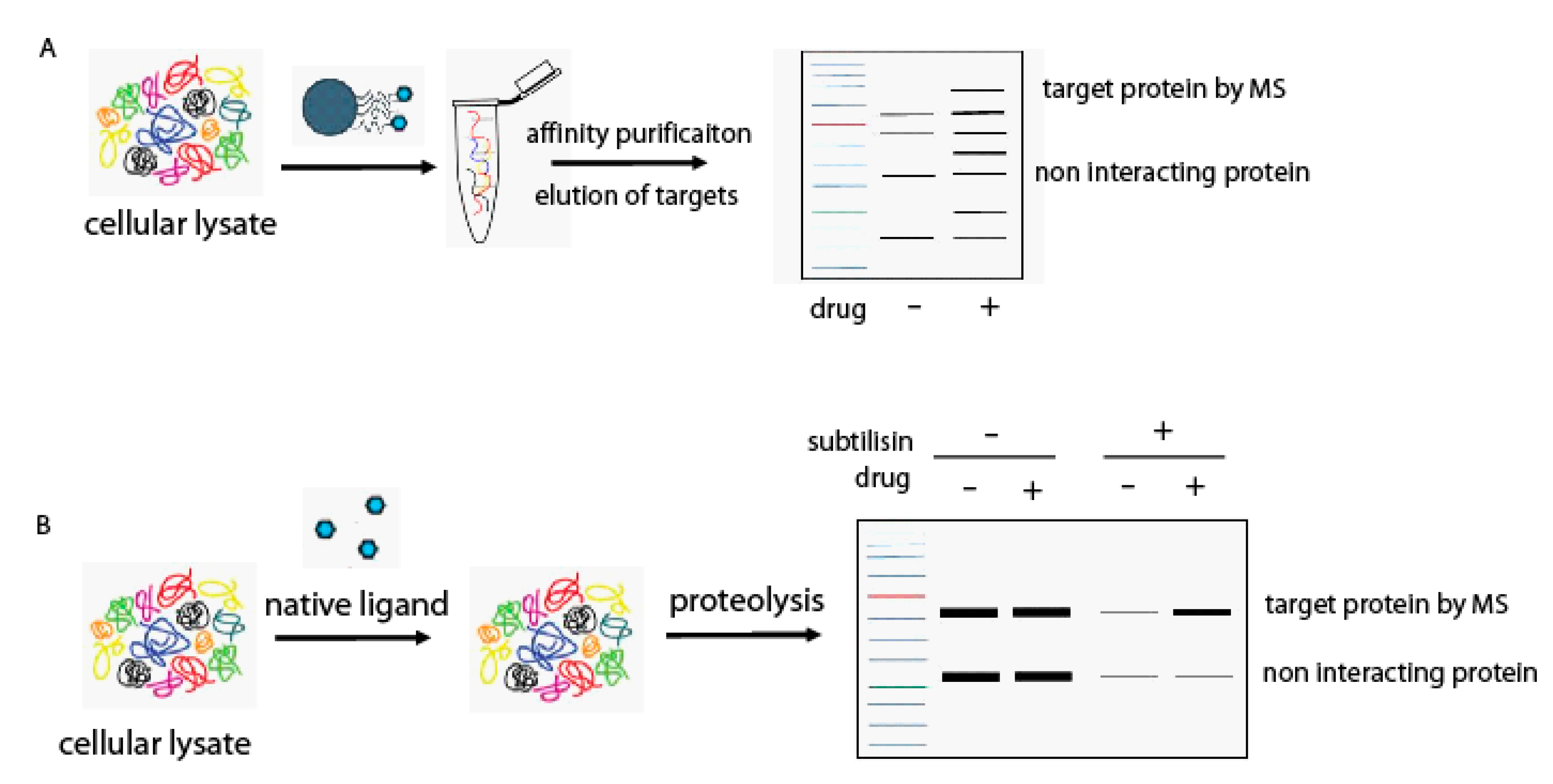 Marinedrugs 15 00312 g001 550