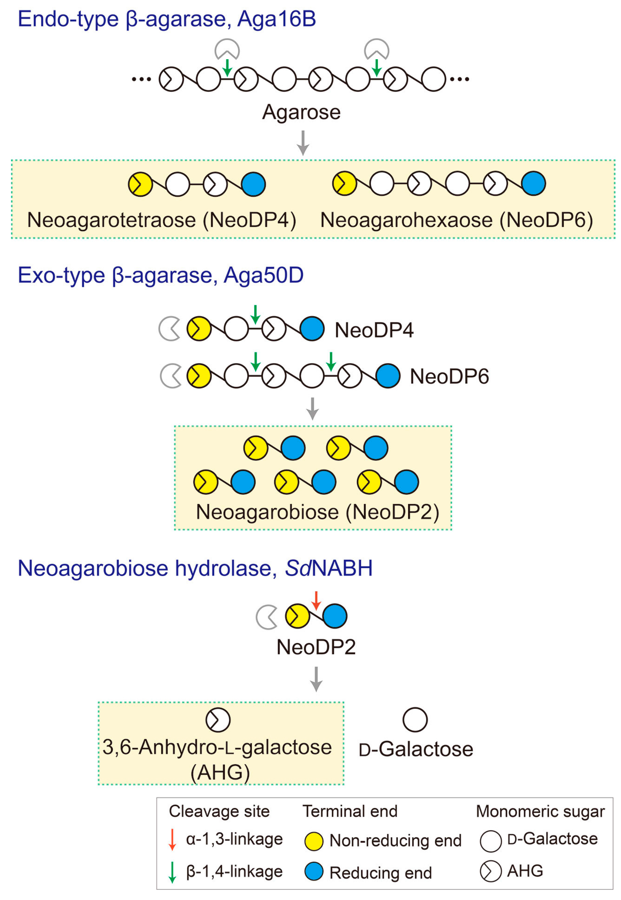 Marinedrugs 15 00321 g006 550