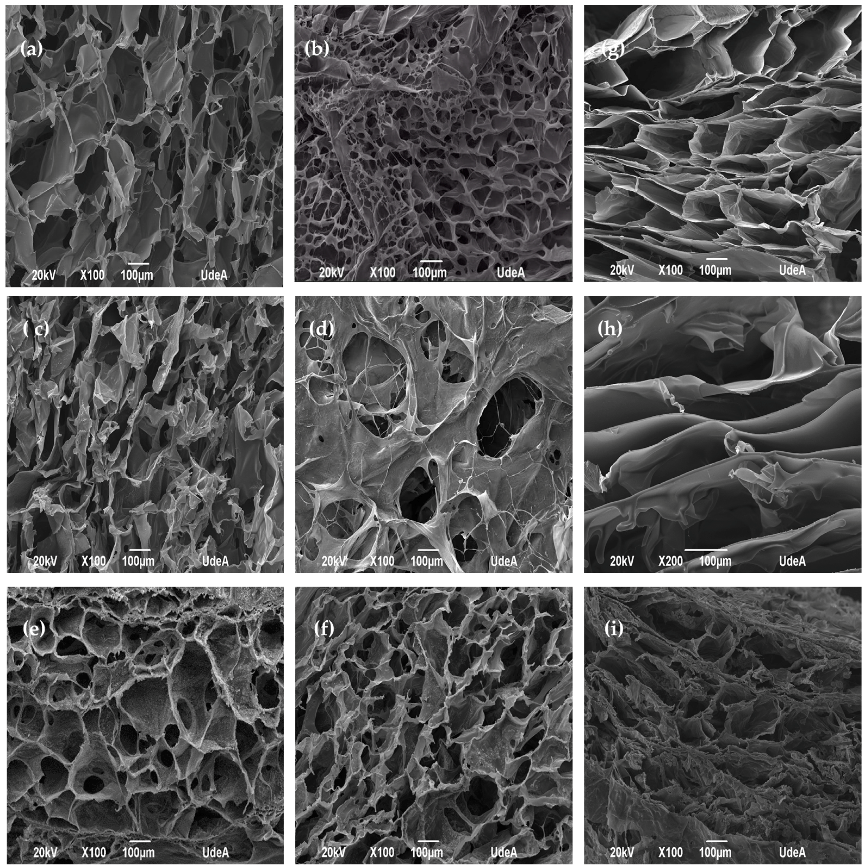 Marinedrugs 15 00328 g002 Marinedrugs 15 00328 g002