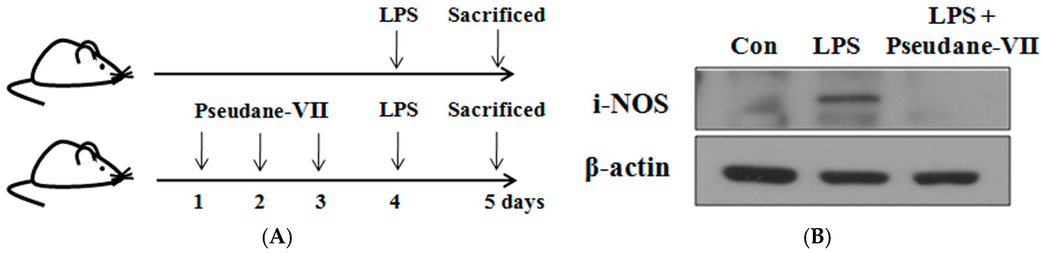 Marinedrugs 15 00336 g007a 550