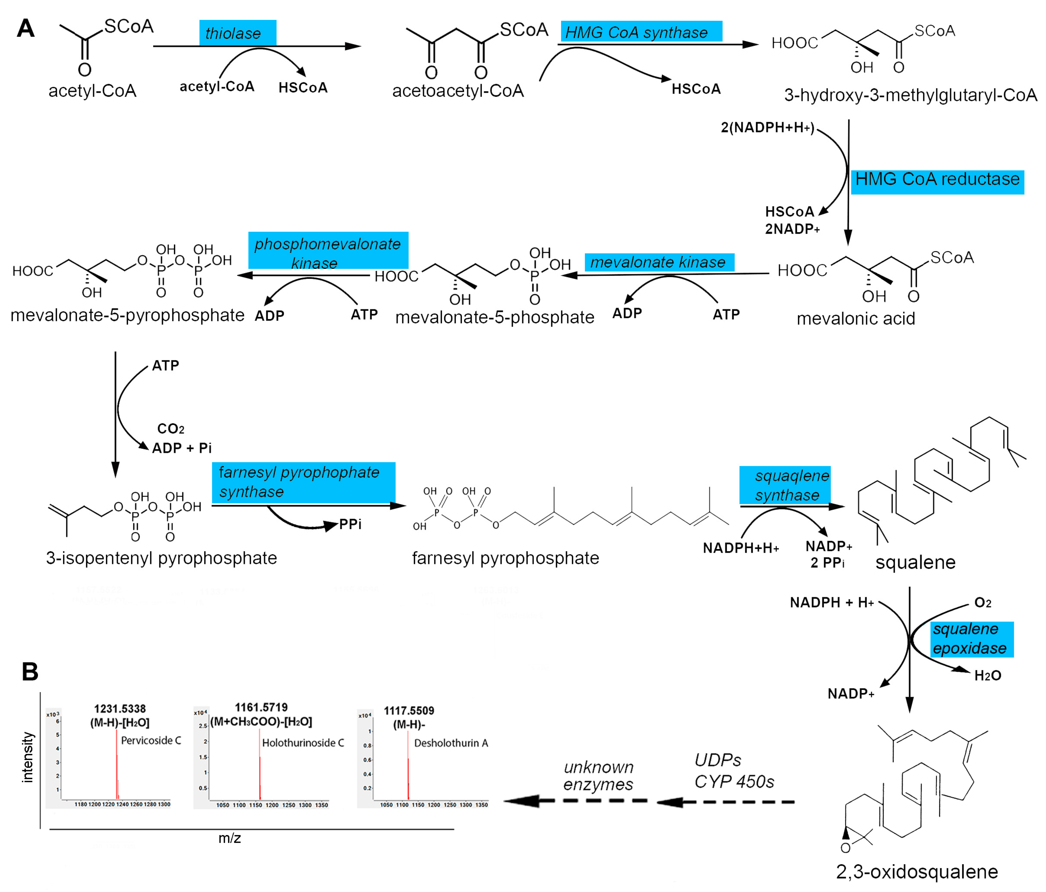 Marinedrugs 15 00349 g004