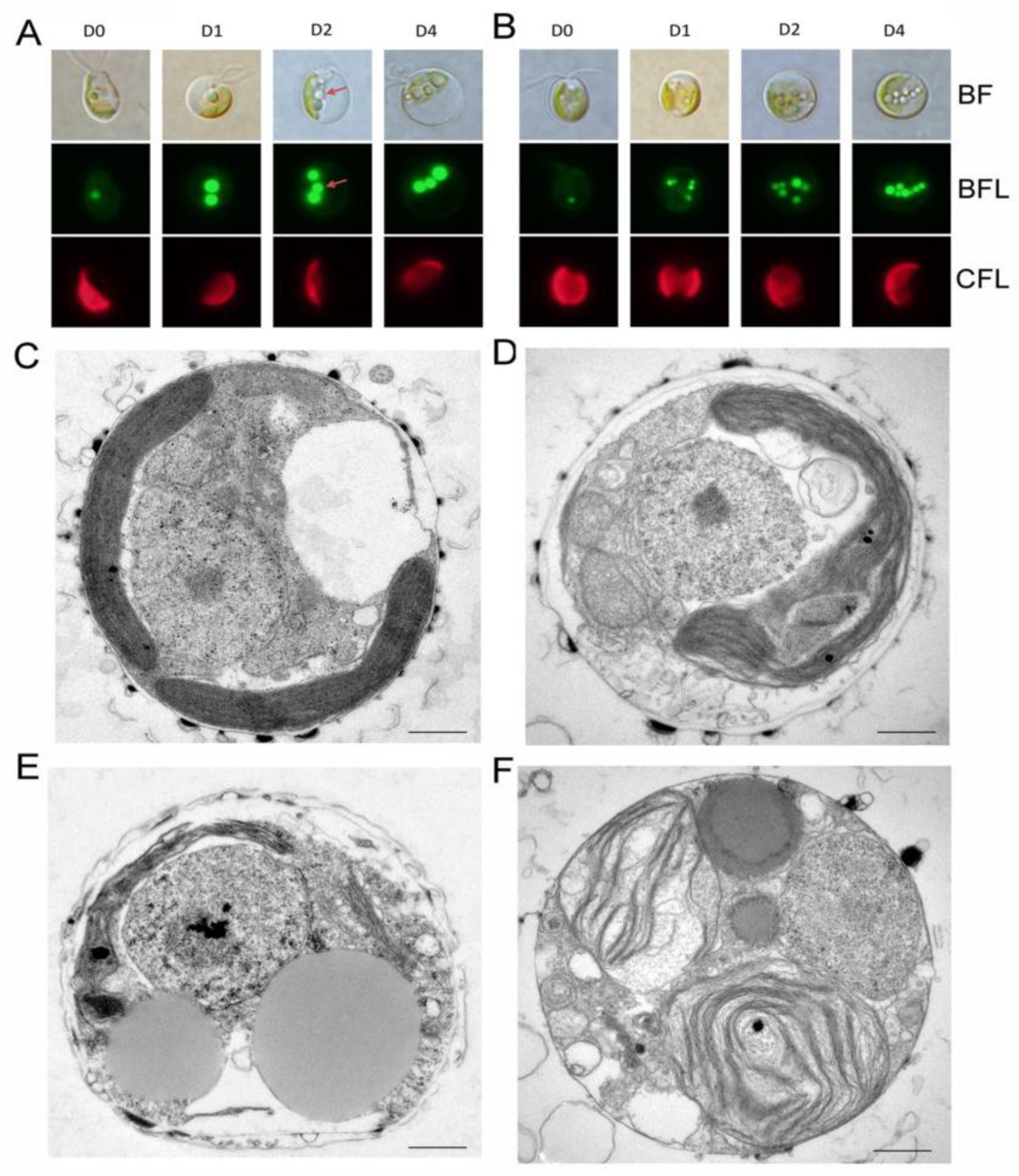 Marinedrugs 15 00357 g004 550