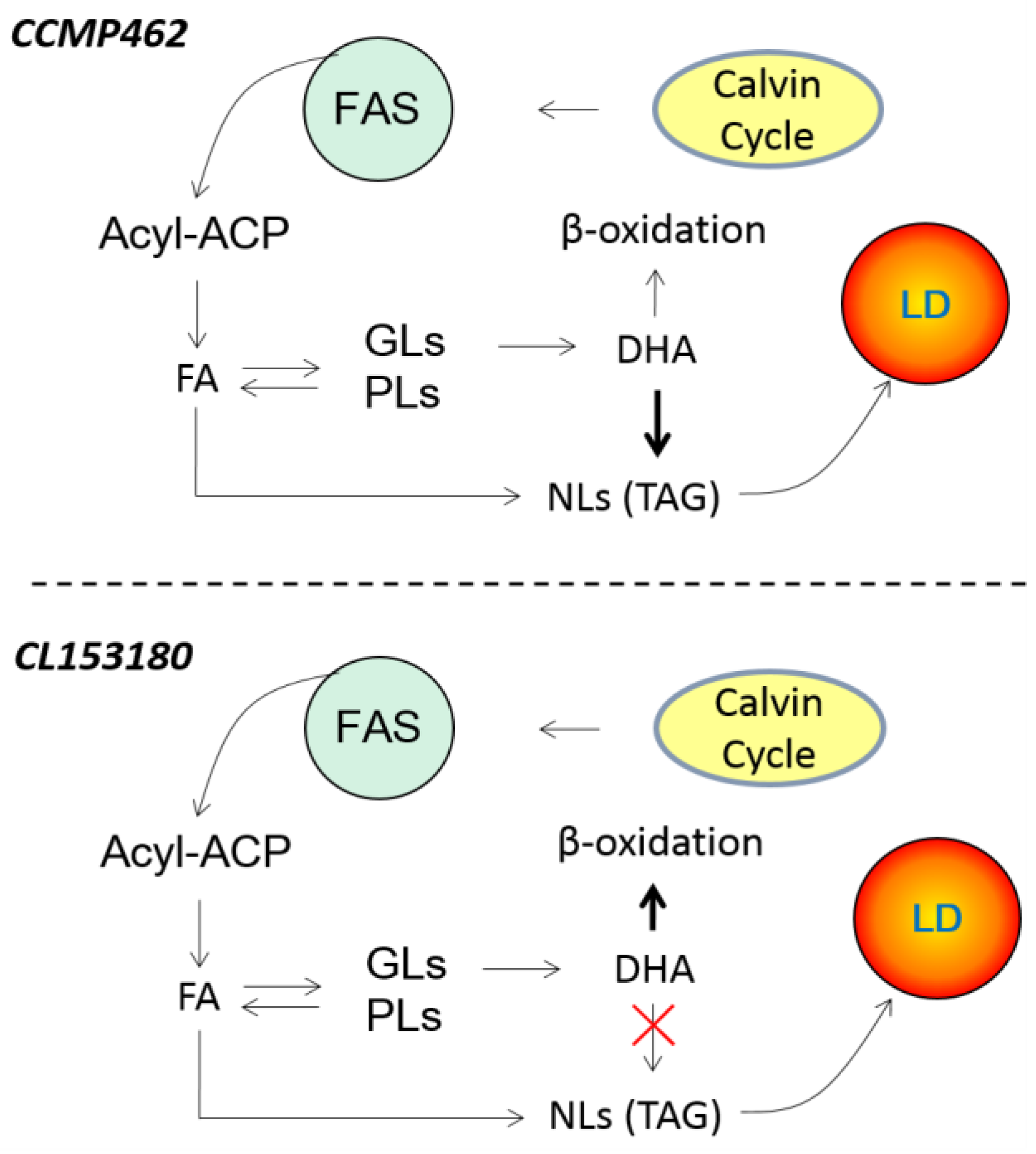 Marinedrugs 15 00357 g006 550