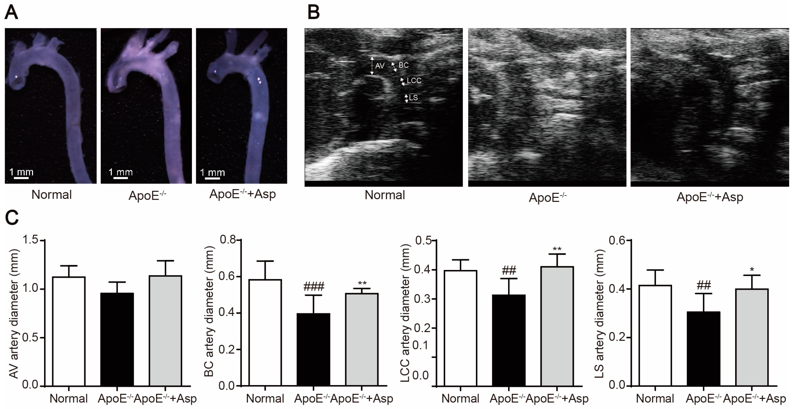 Marinedrugs 15 00358 g008