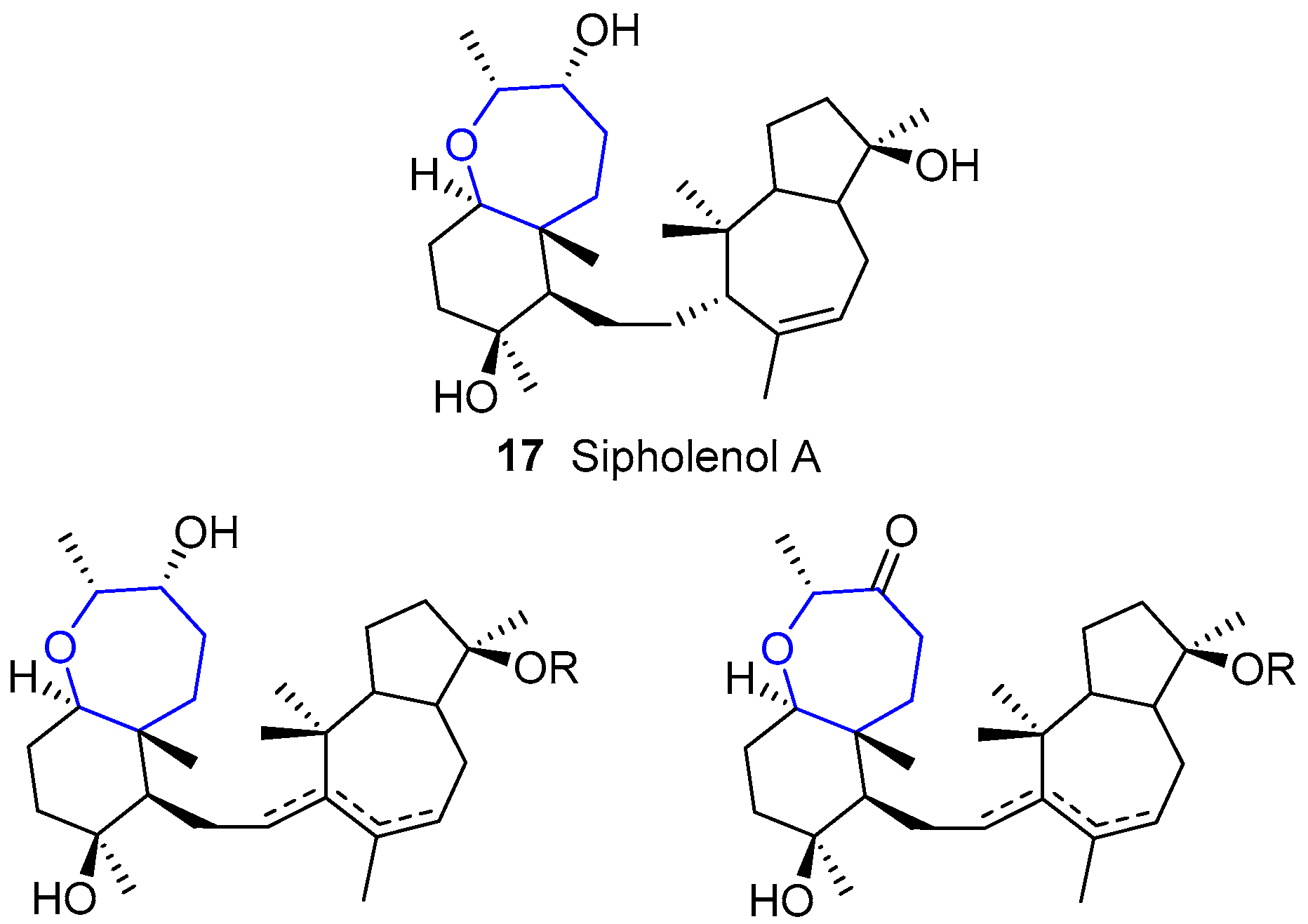 Marinedrugs 15 00361 g005