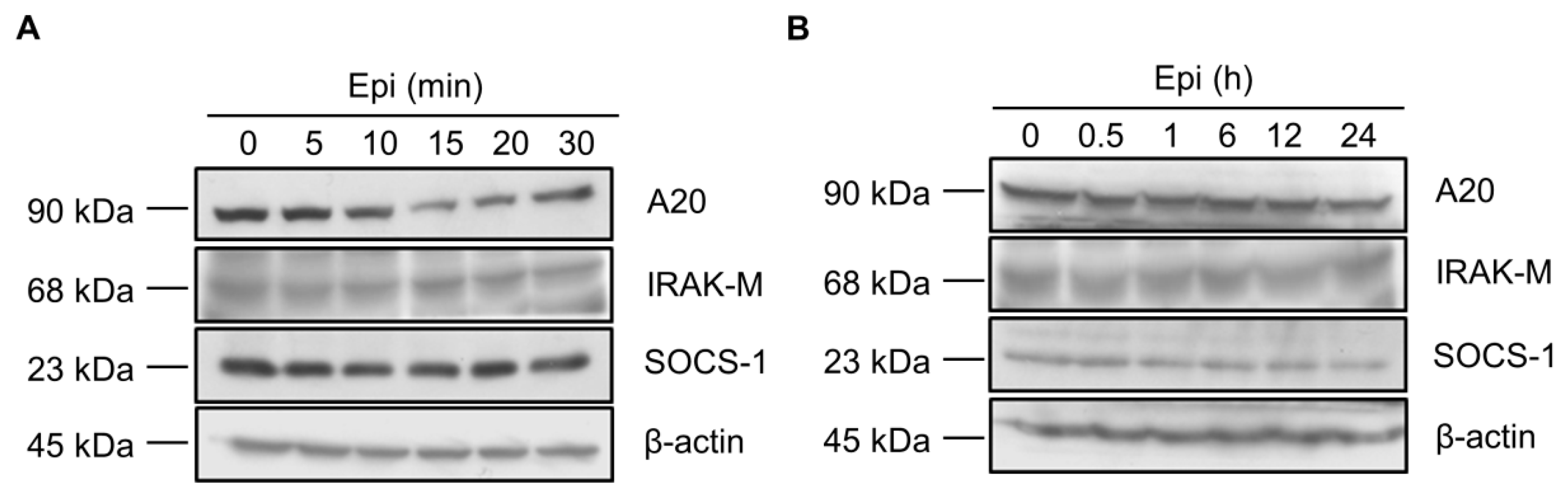 Marinedrugs 15 00362 g002 Marinedrugs 15 00362 g002