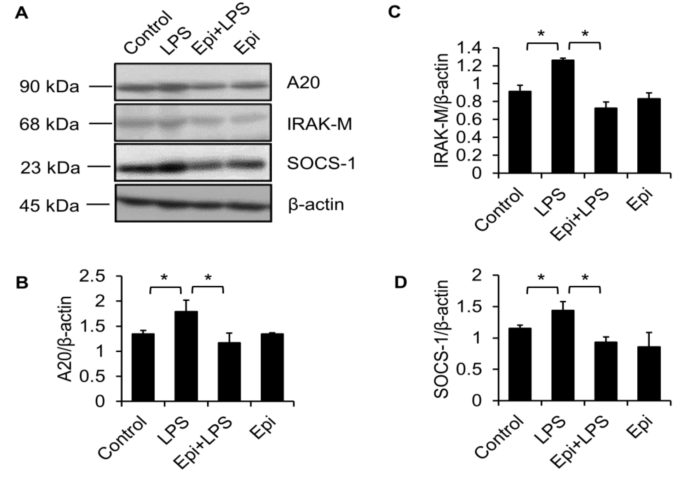 Marinedrugs 15 00362 g003 Marinedrugs 15 00362 g003