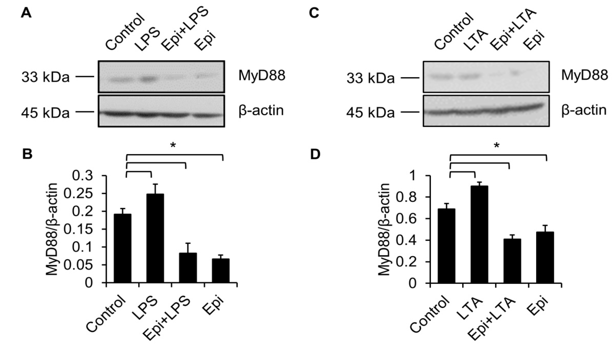 Marinedrugs 15 00362 g005 Marinedrugs 15 00362 g005