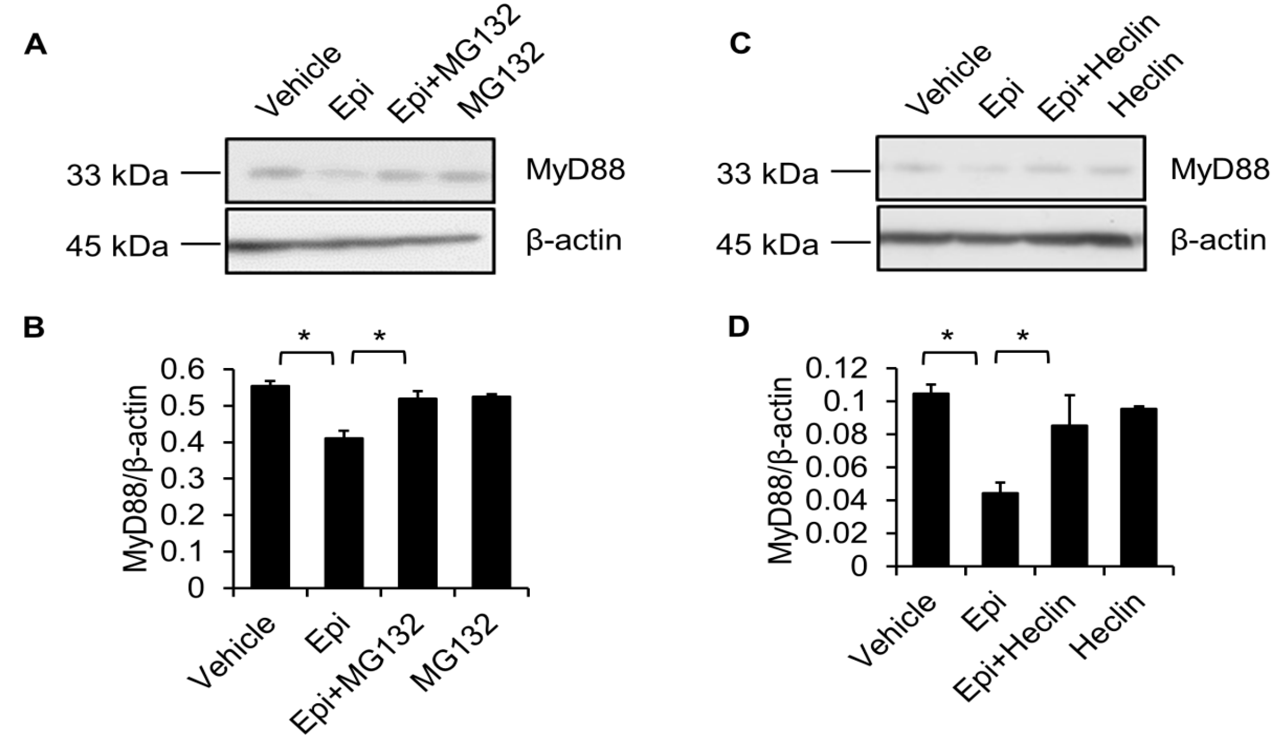 Marinedrugs 15 00362 g006 Marinedrugs 15 00362 g006