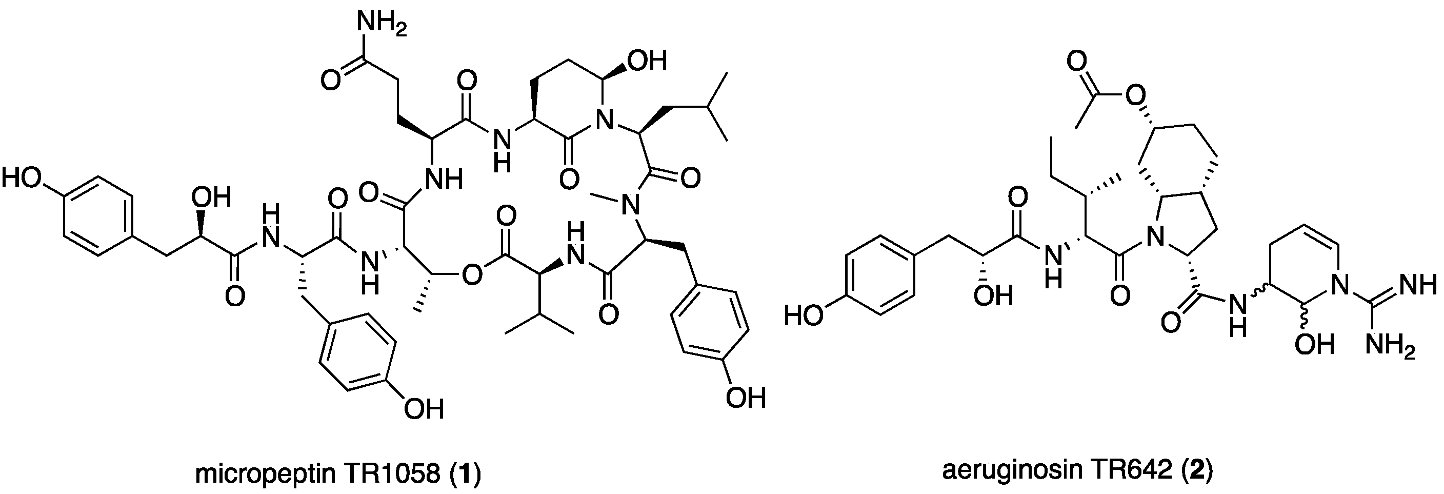 Marinedrugs 15 00371 g002 550