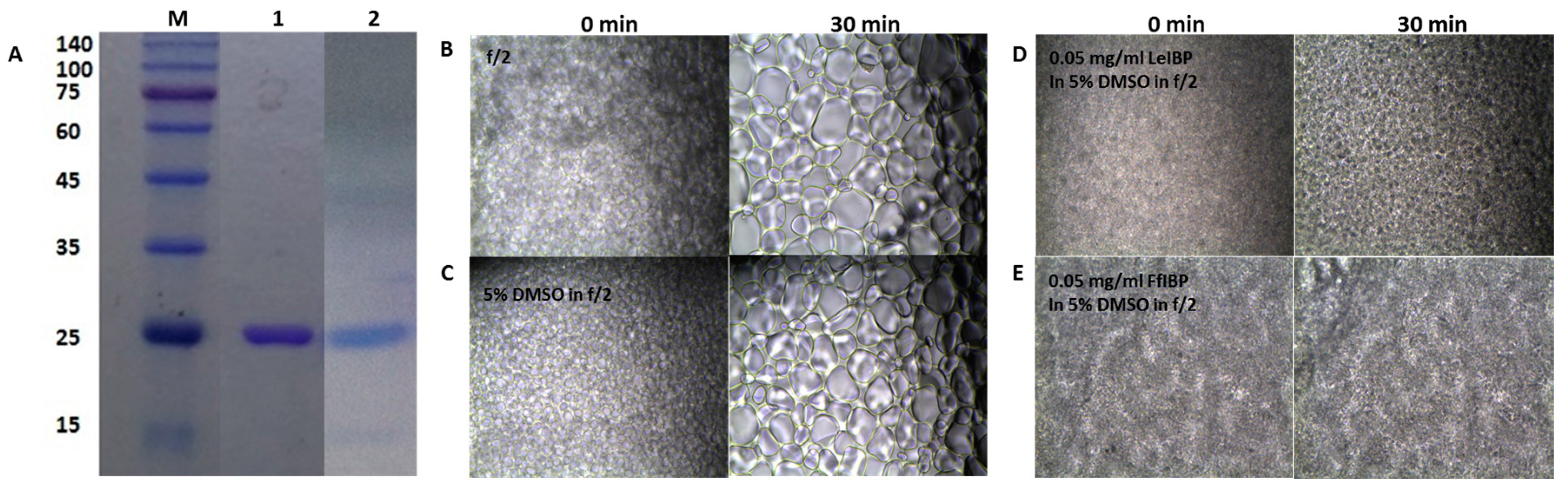 Marinedrugs 15 00372 g002 550