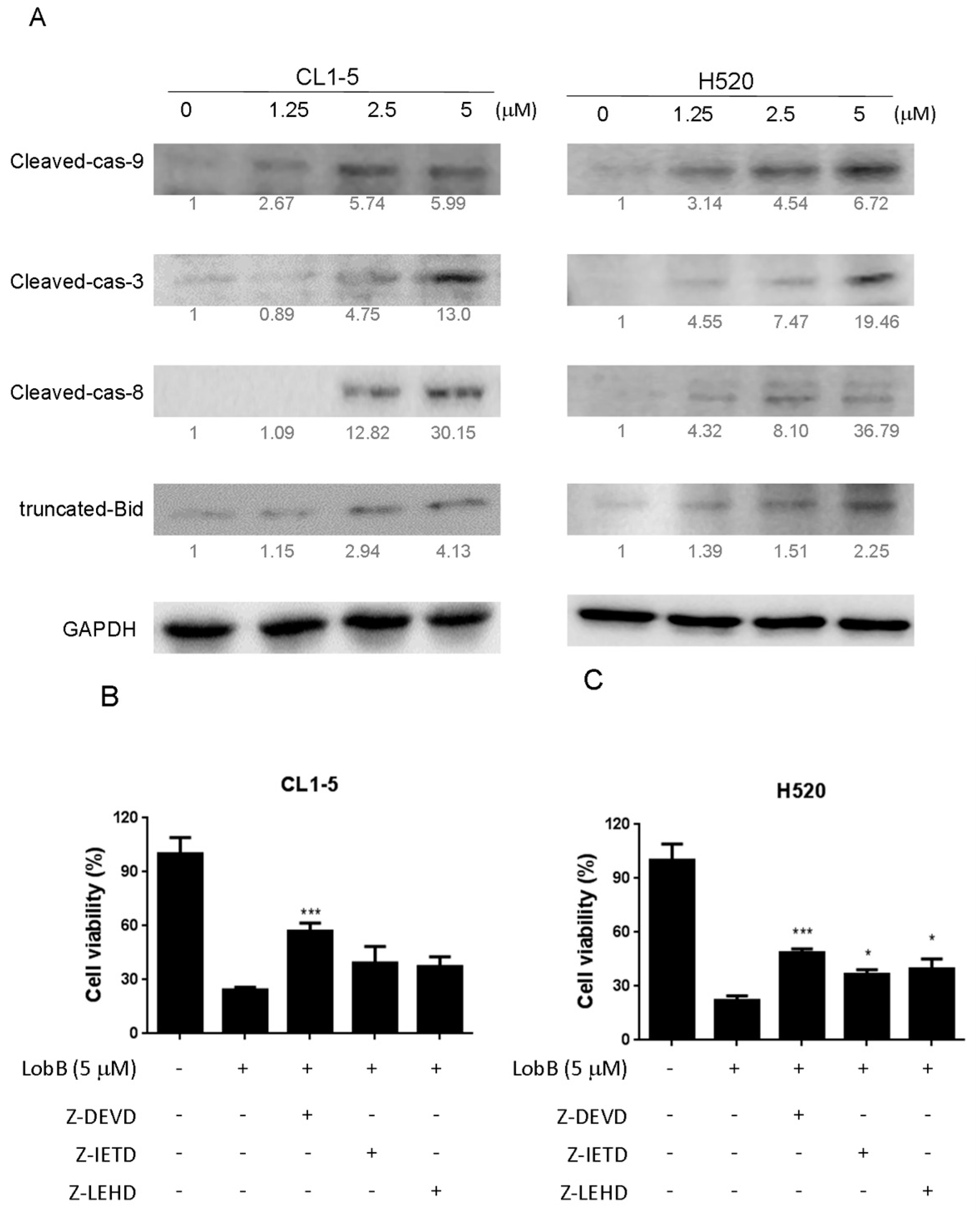 Marinedrugs 15 00378 g005 550