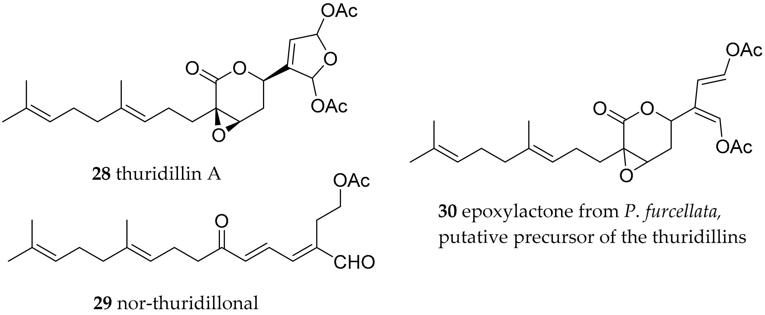 varicoza precursor