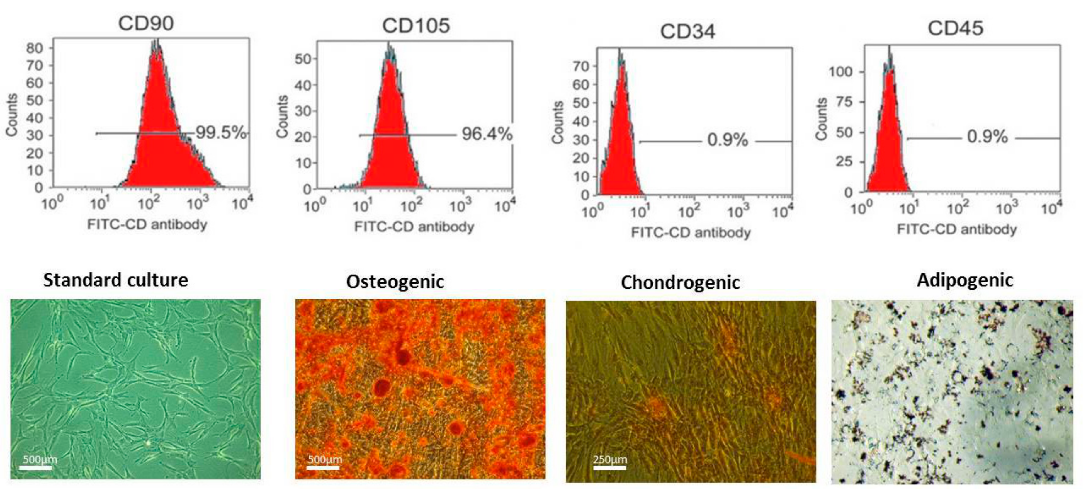 Marinedrugs 15 00385 g001