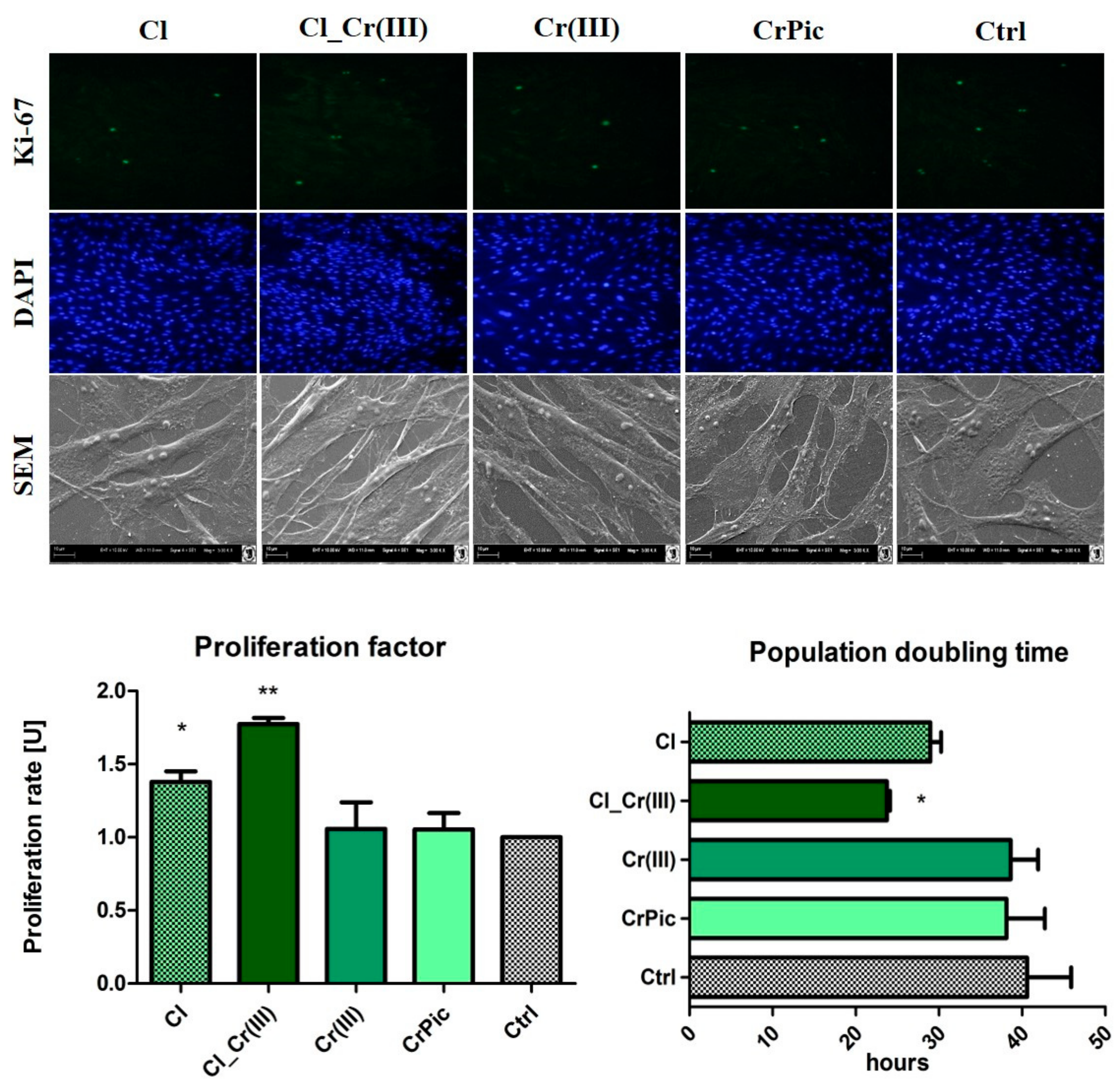 Marinedrugs 15 00385 g002a