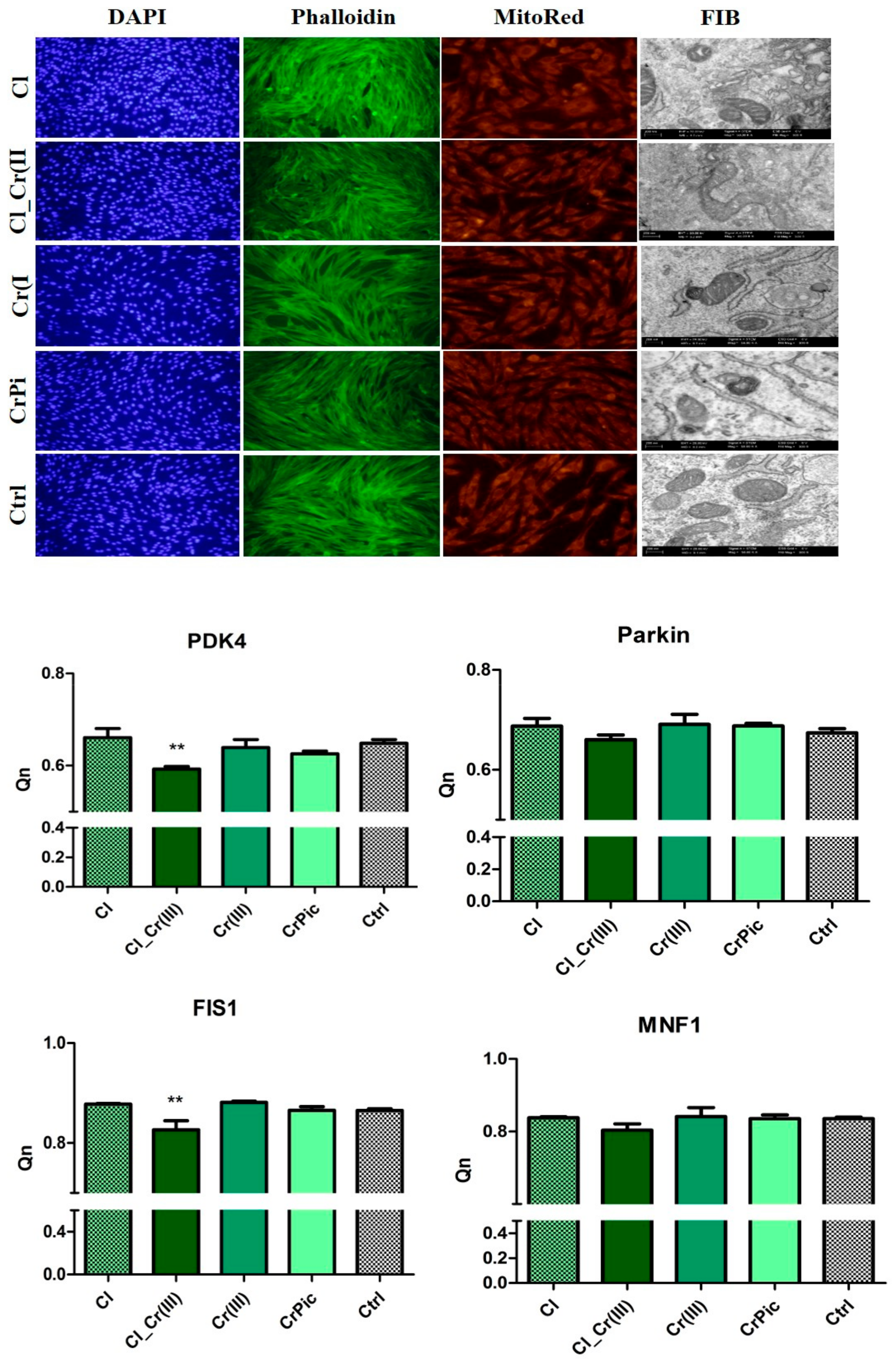 Marinedrugs 15 00385 g004