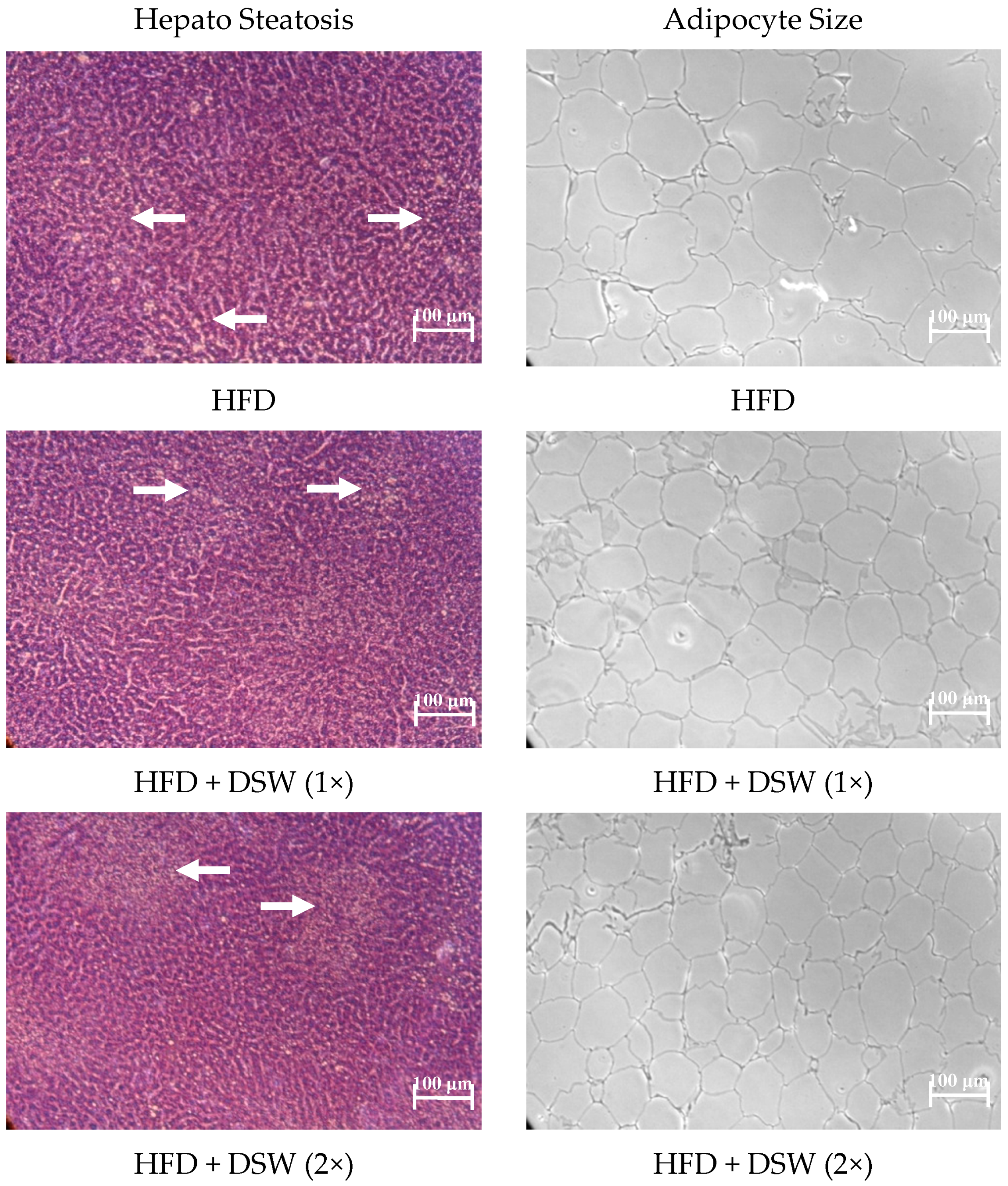 Marinedrugs 15 00386 g001a