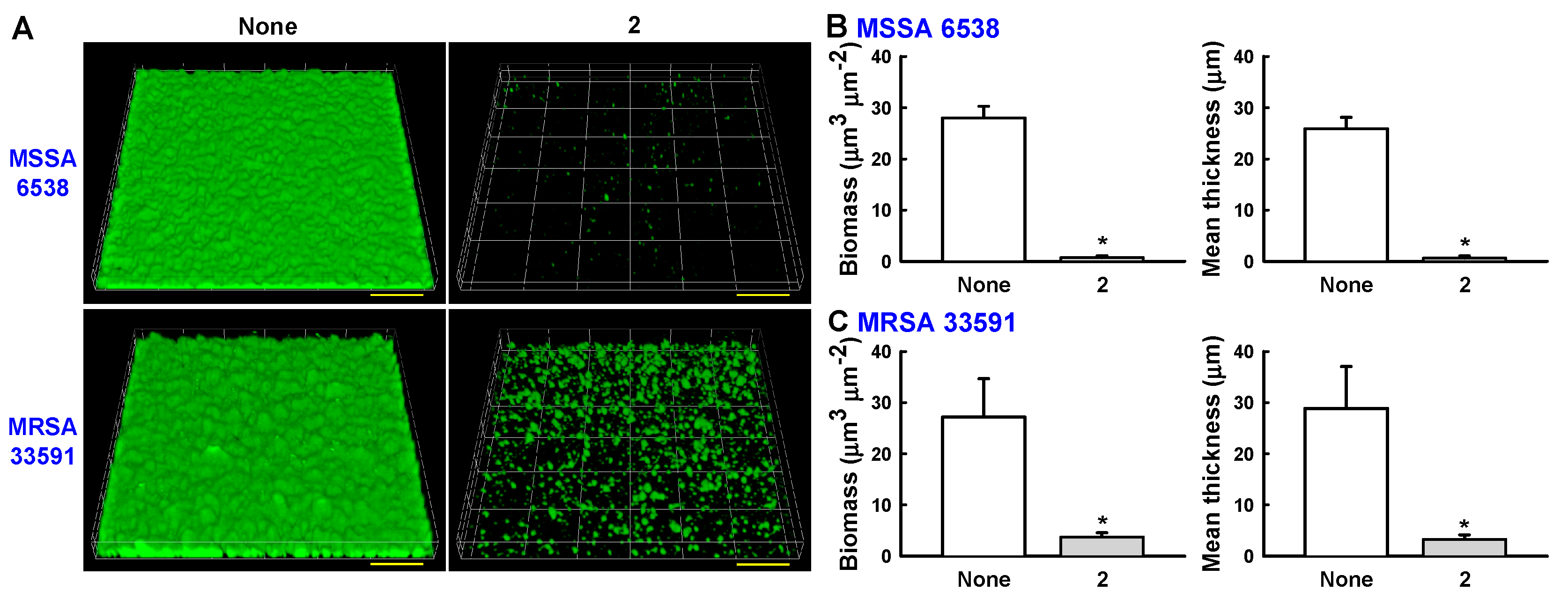 Marinedrugs 15 00387 g005