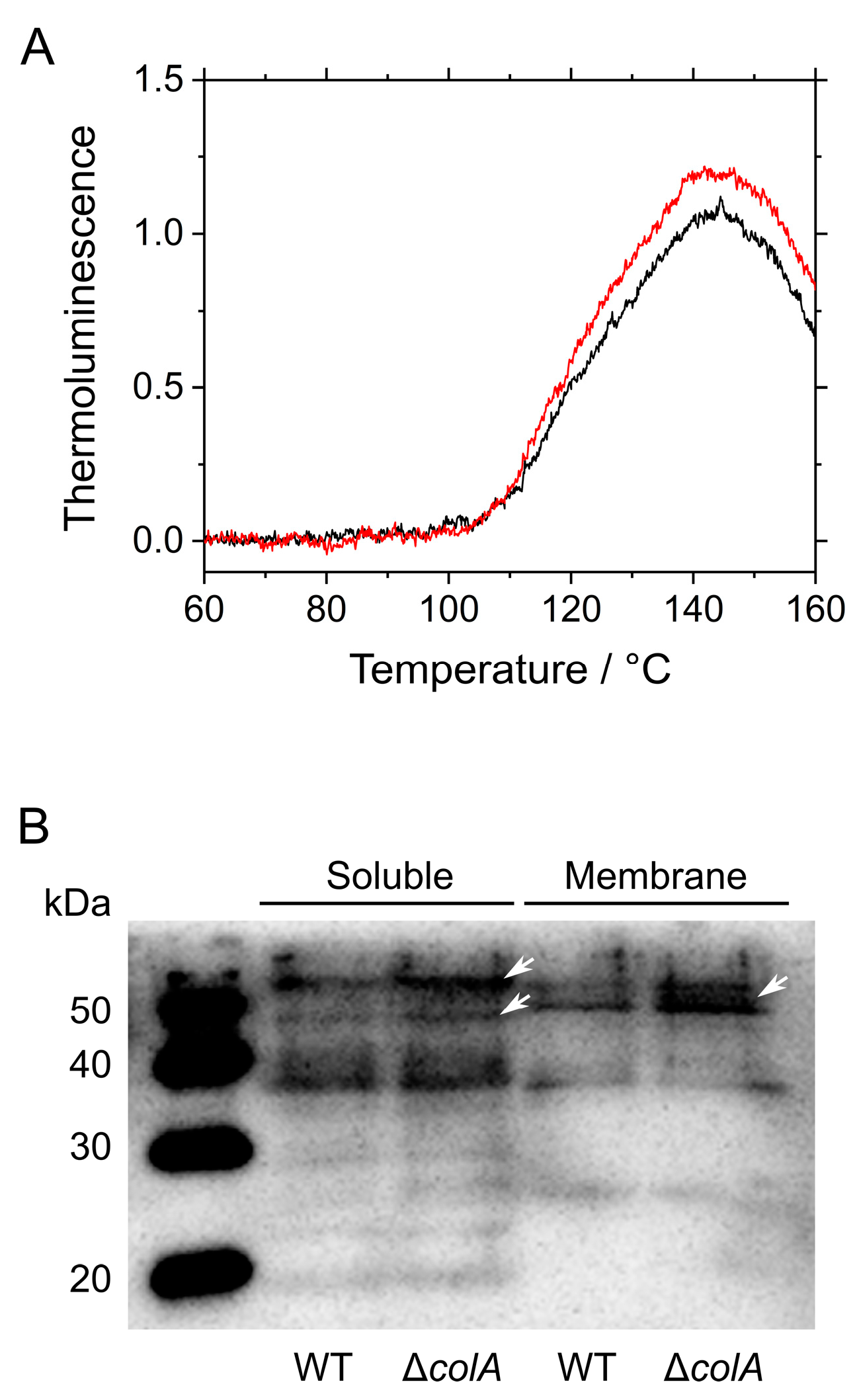Marinedrugs 15 00390 g003