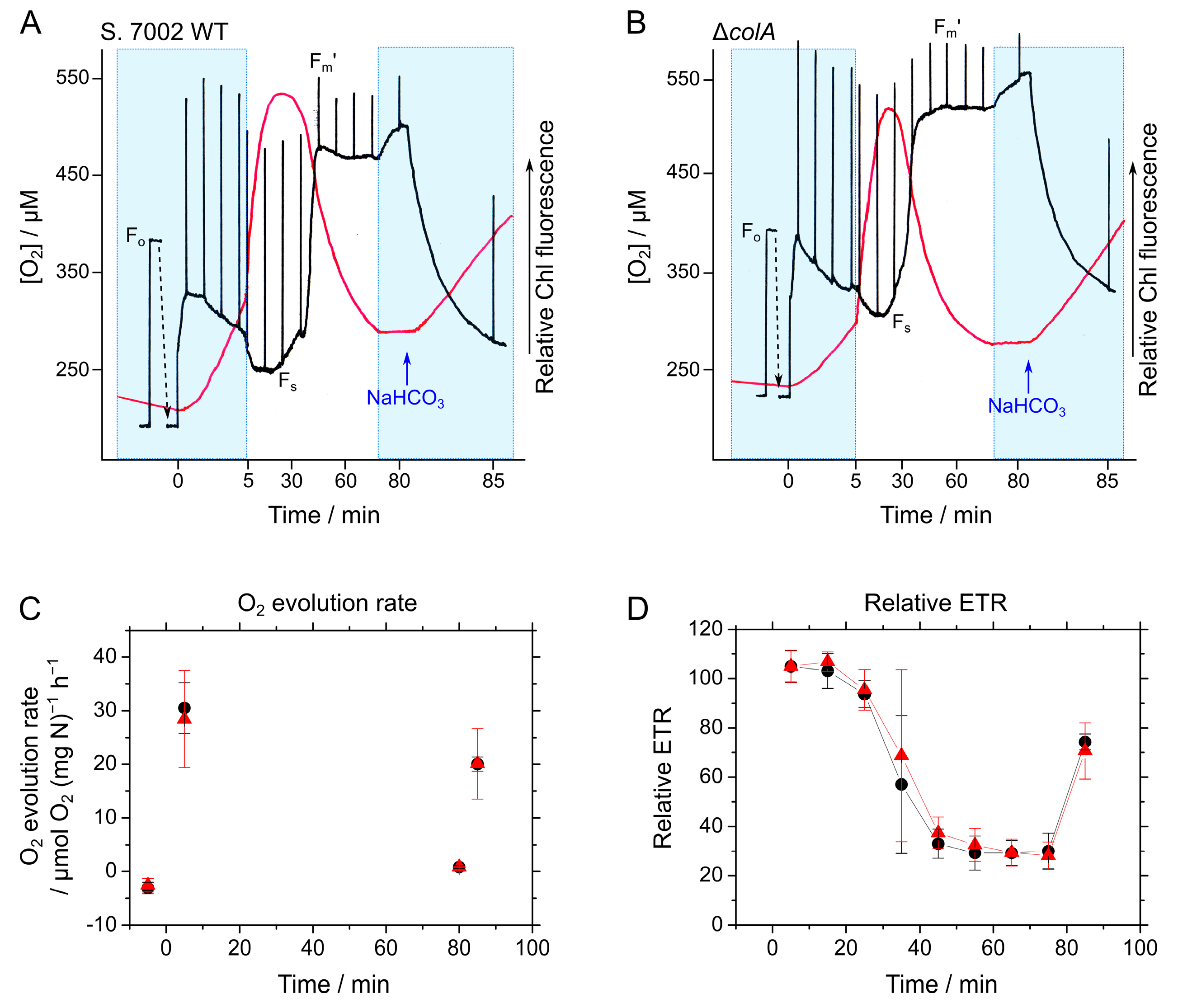 Marinedrugs 15 00390 g004