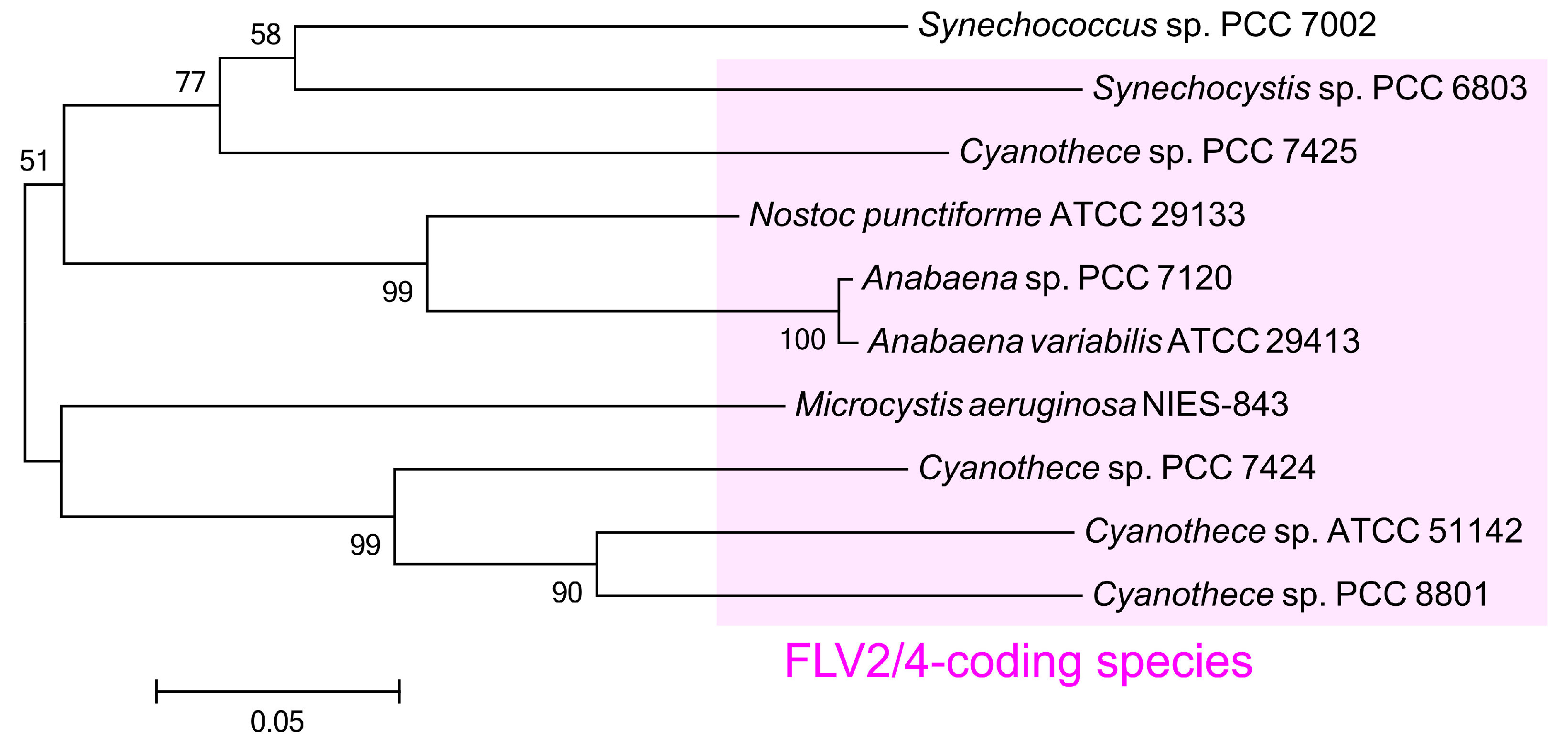 Marinedrugs 15 00390 g006