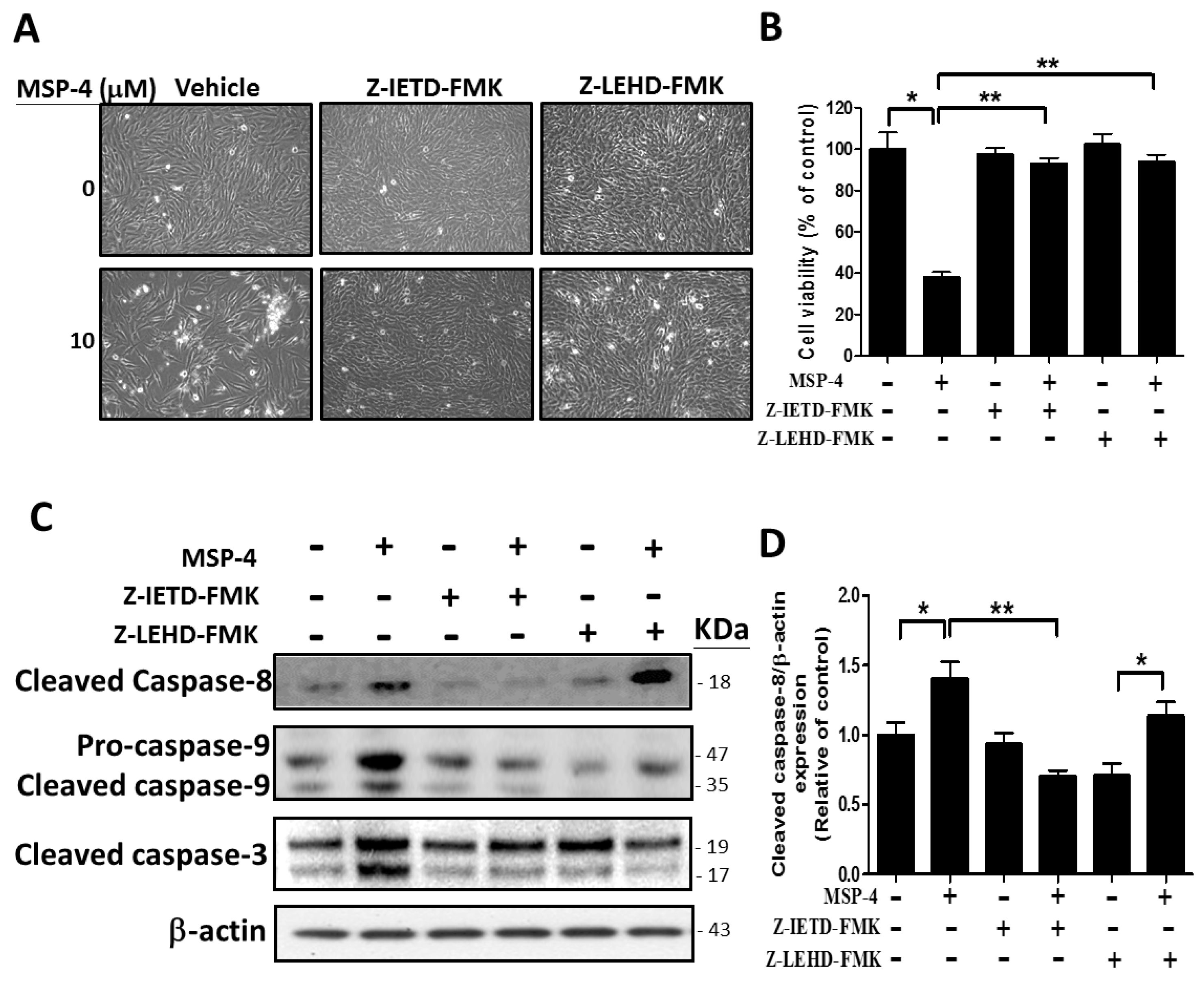 Marinedrugs 16 00008 g006a