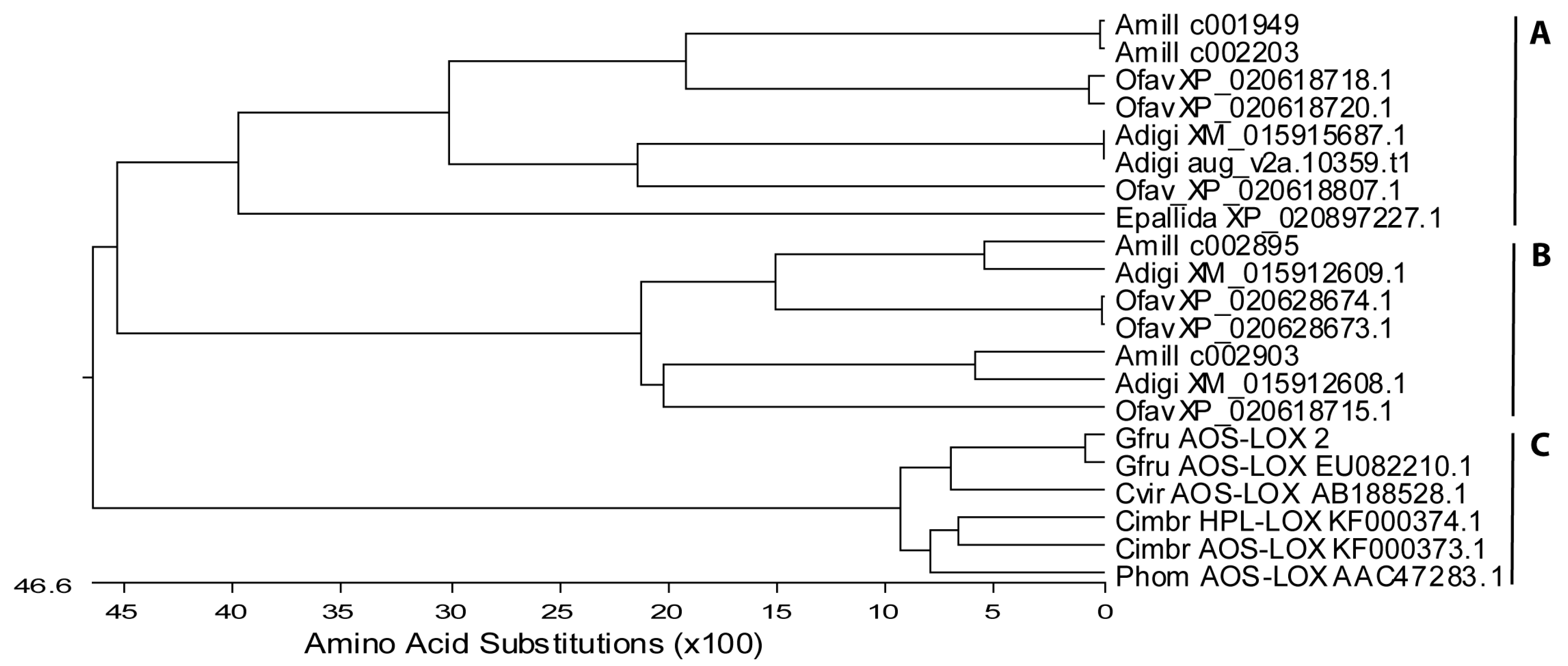 Marine Drugs Free Full Text Eicosanoid Diversity Of Stony Corals Html