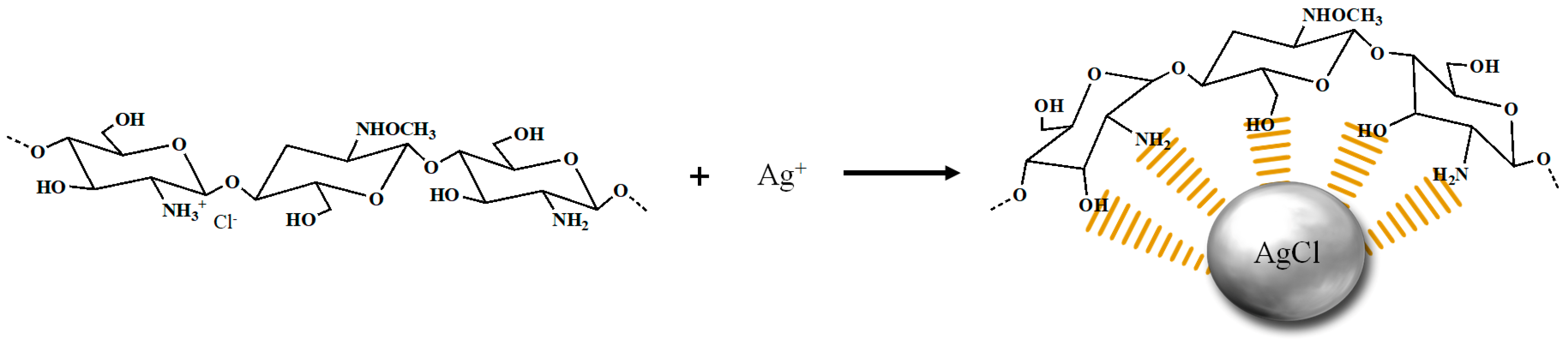 Marinedrugs 16 00011 g001