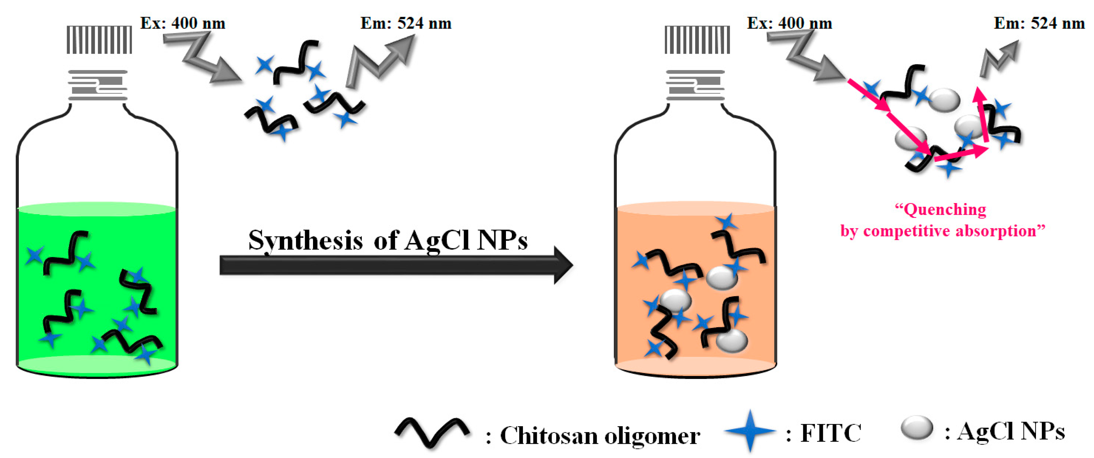 Marinedrugs 16 00011 g007