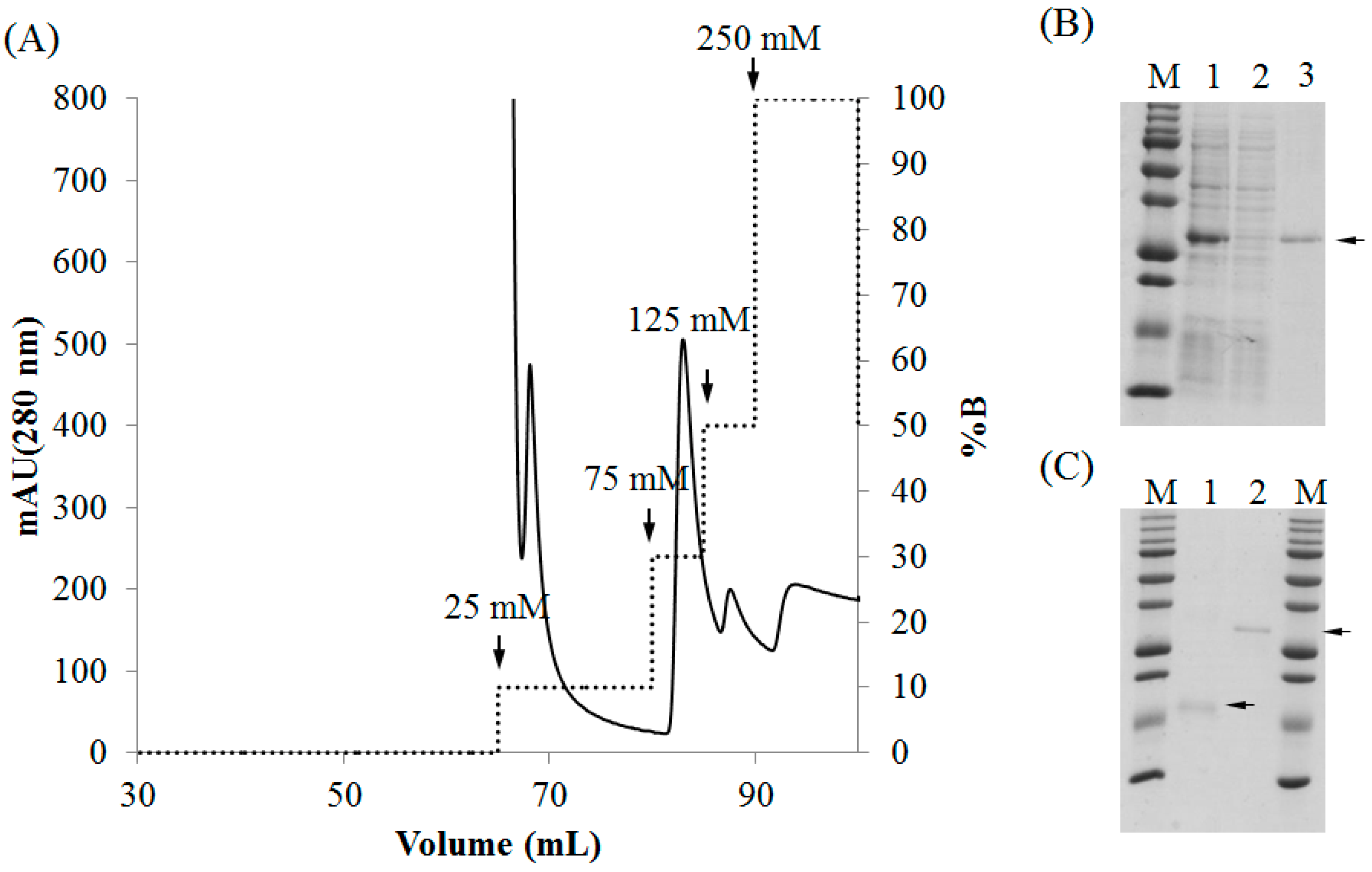 Marinedrugs 16 00013 g004