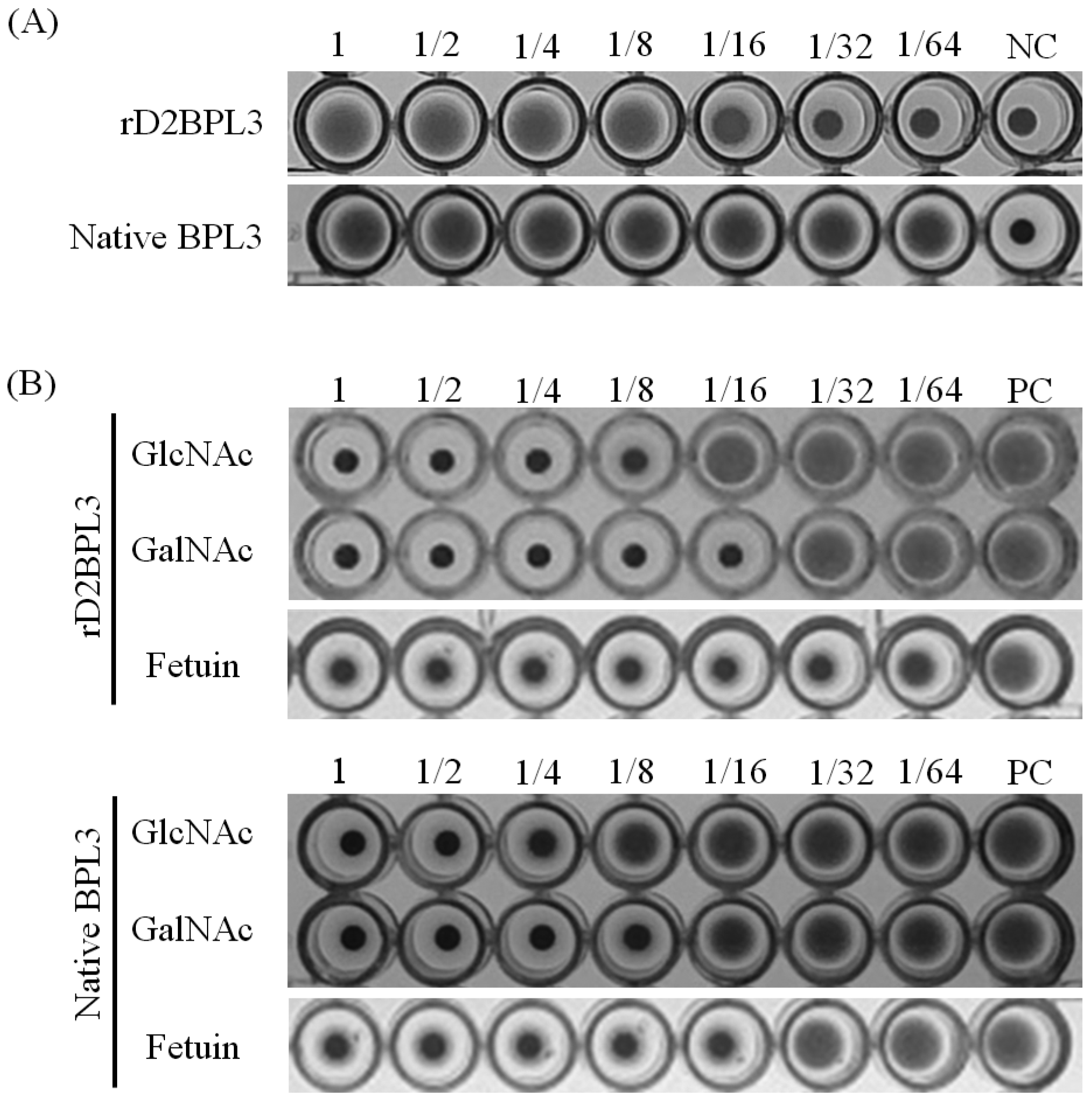 Marinedrugs 16 00013 g006