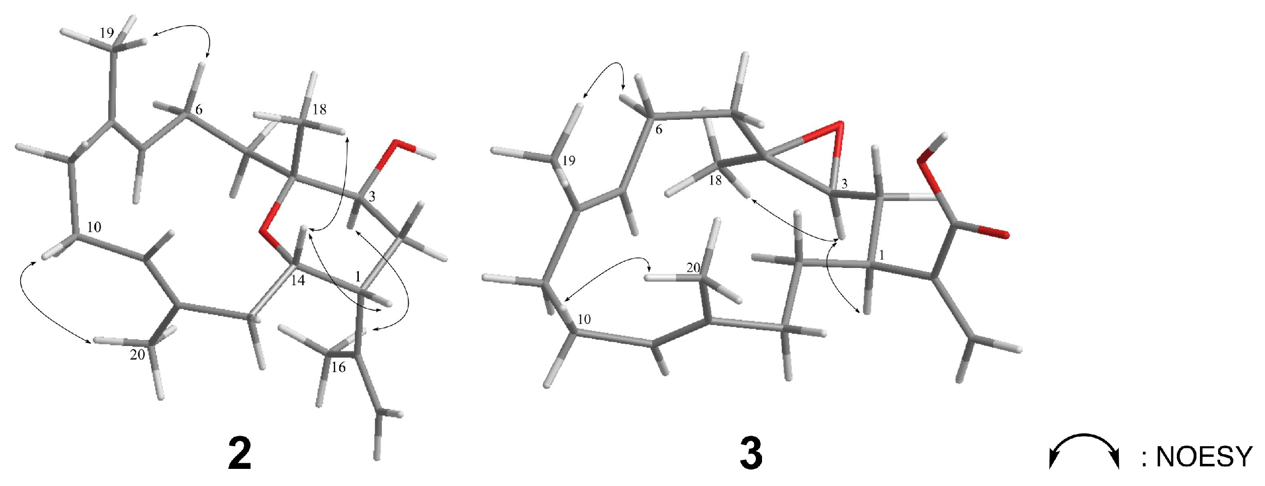 Marinedrugs 16 00015 g007 550