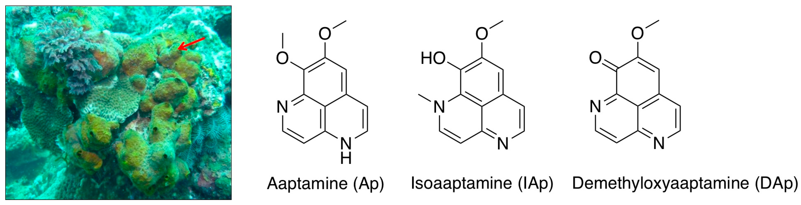 Marinedrugs 16 00018 g001