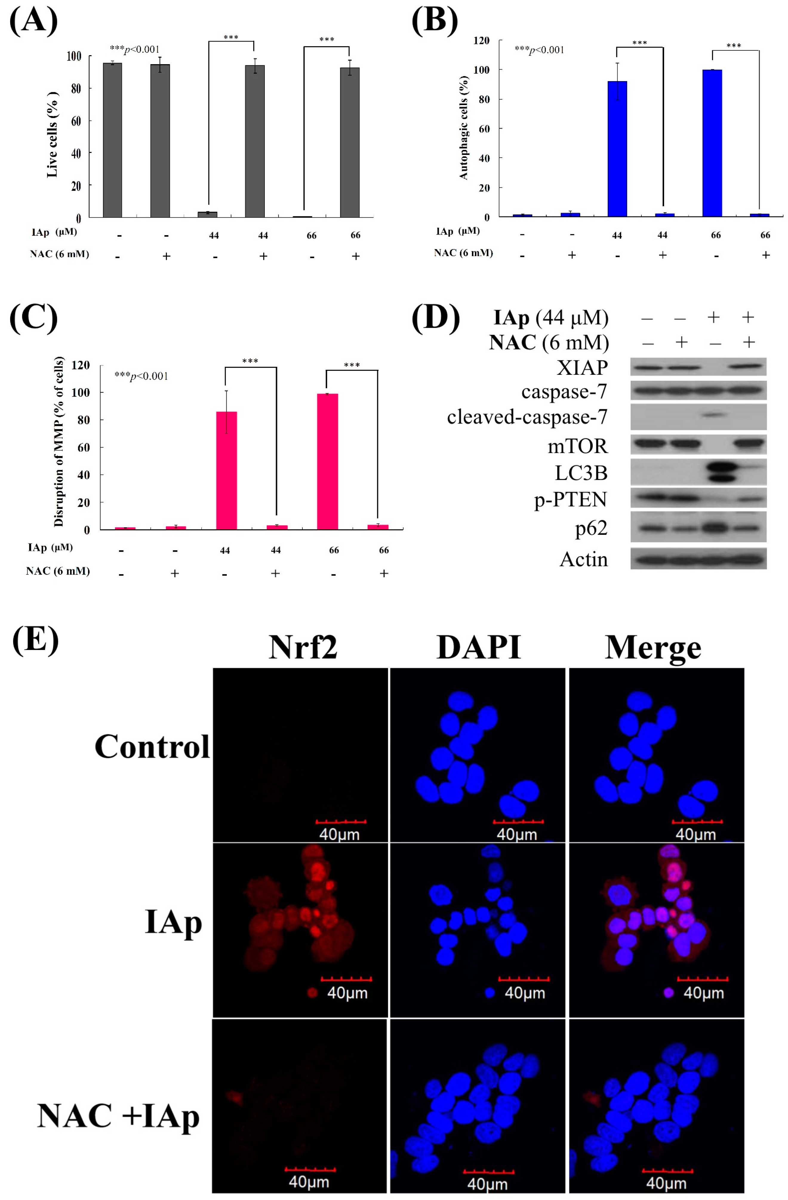 Marinedrugs 16 00018 g008a