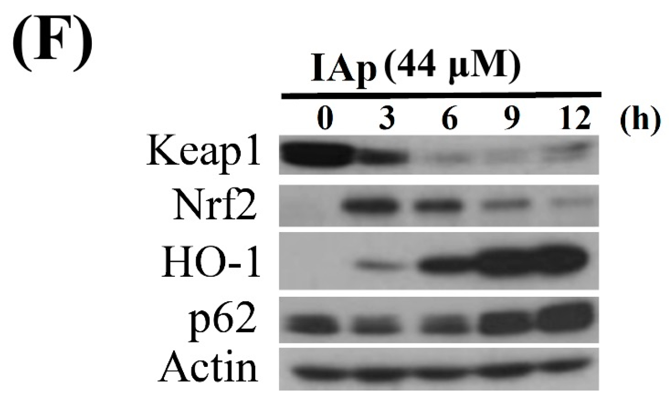 Marinedrugs 16 00018 g008b