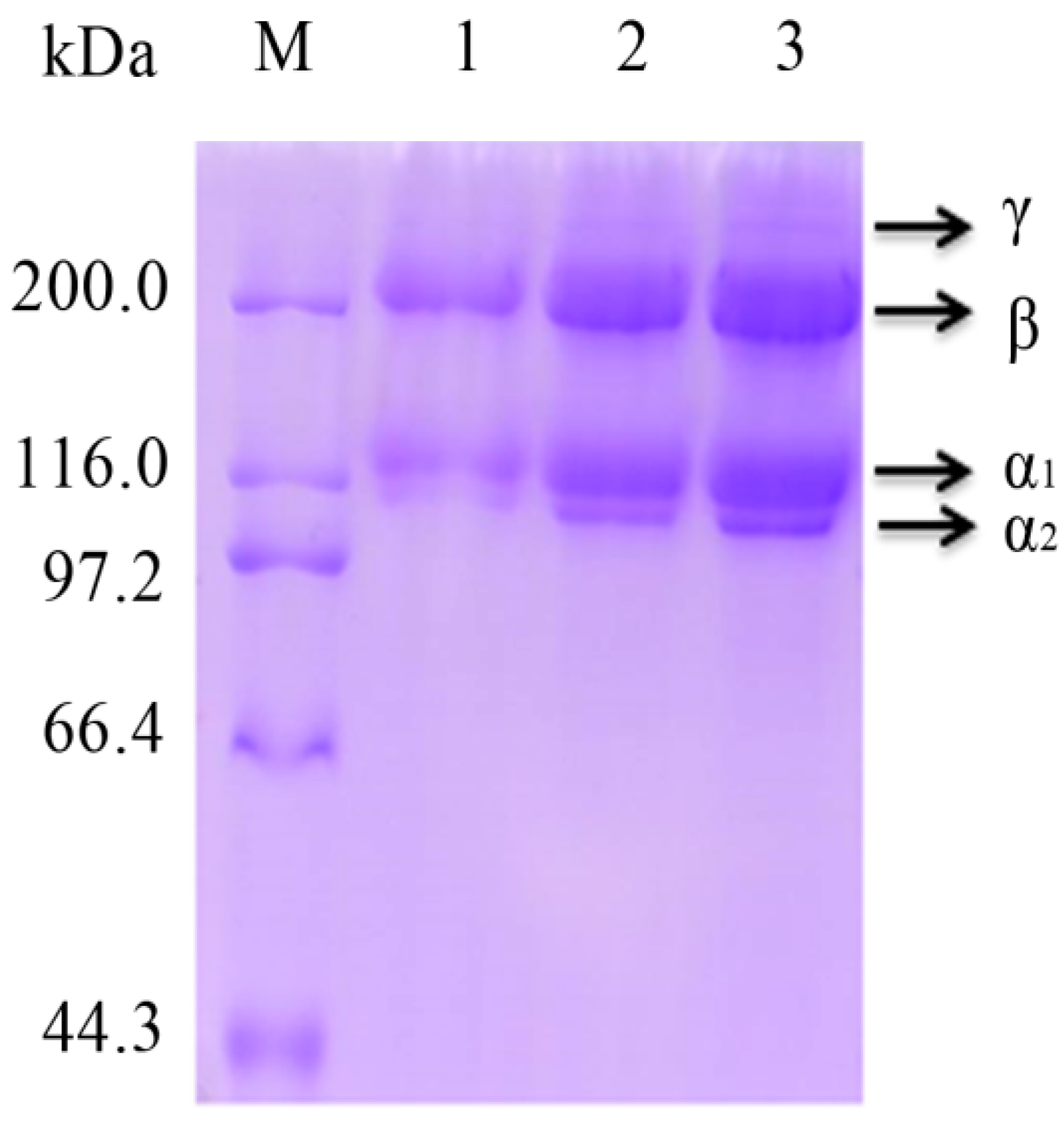 Marinedrugs 16 00029 g003