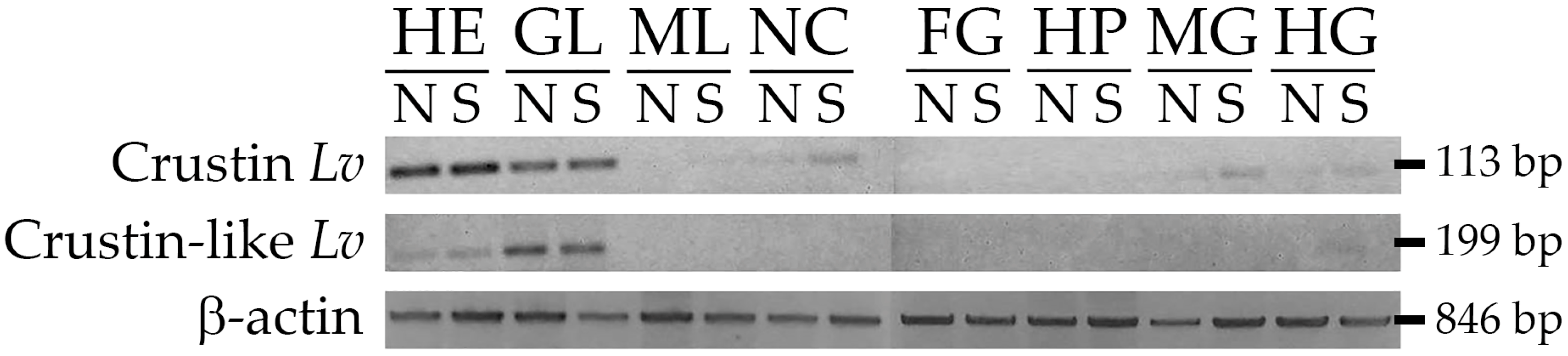 Marinedrugs 16 00031 g003 550