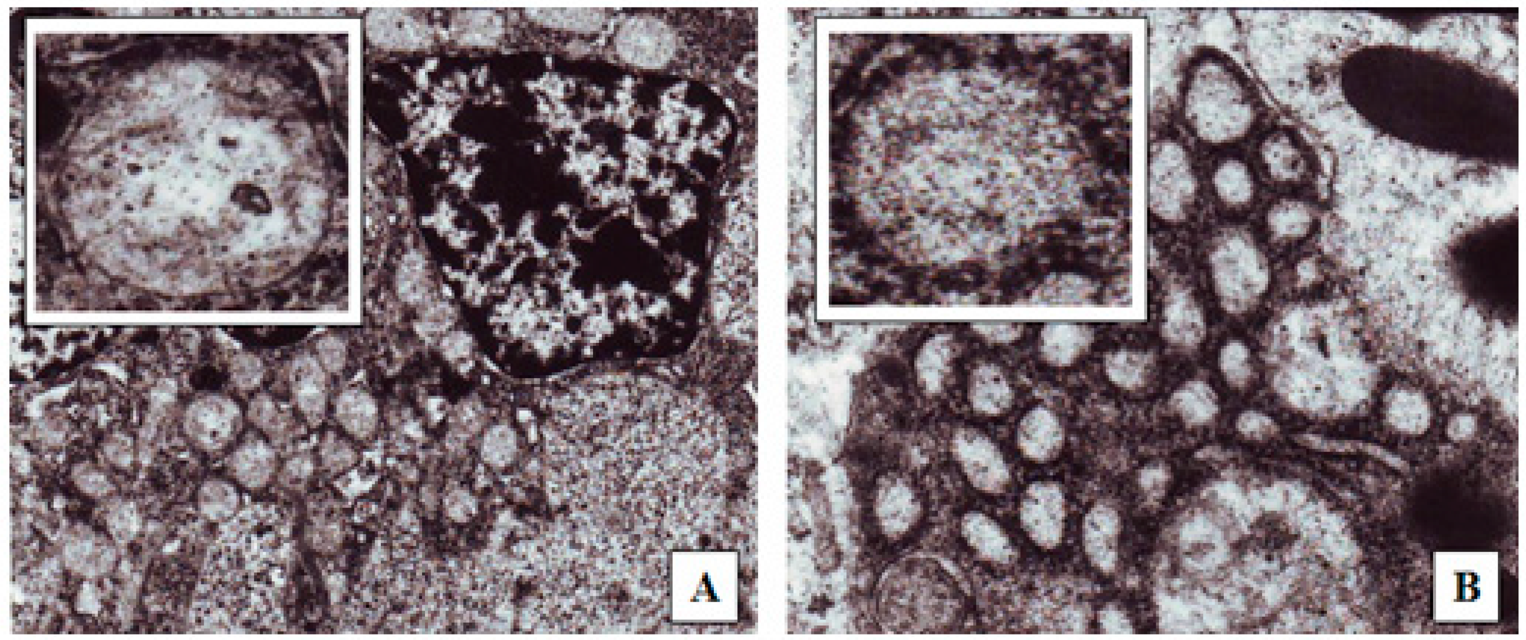 Marinedrugs 16 00032 g006 Marinedrugs 16 00032 g006