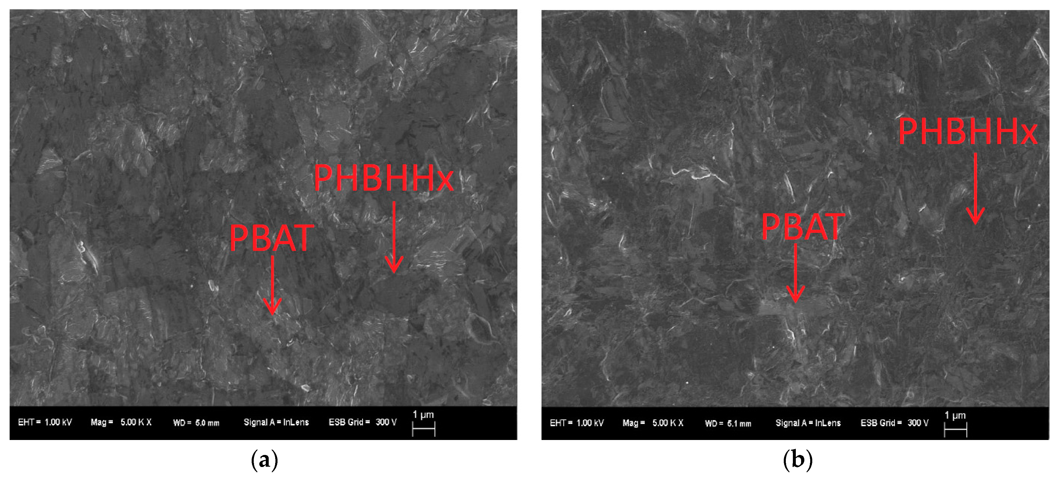 Marinedrugs 16 00034 g004 550